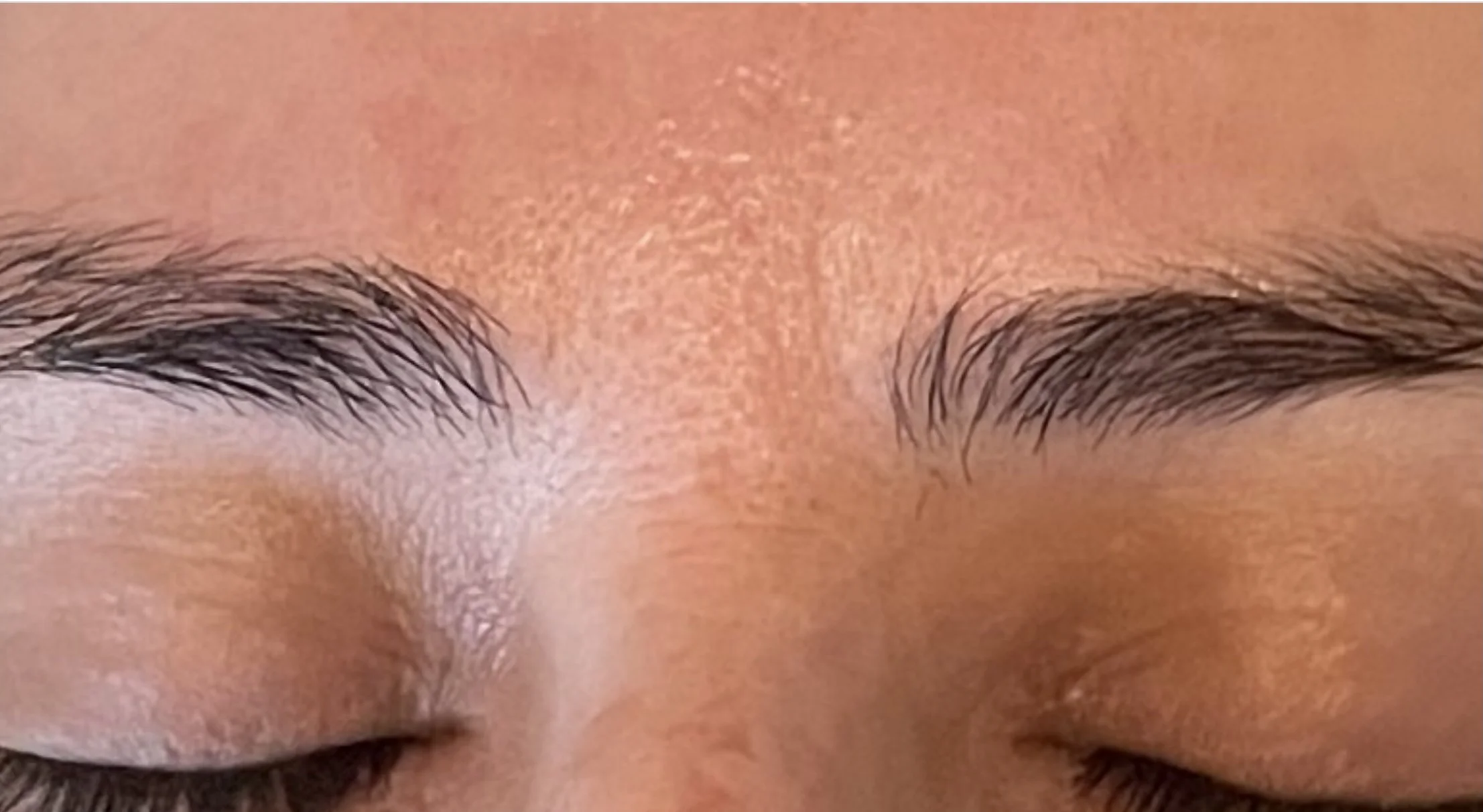 Screen Shot 2021-12-04 at 3.04.40 PM.jpg