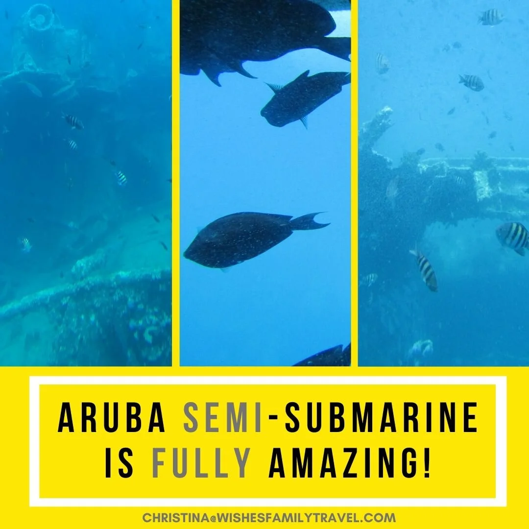 Aruba's Semi-Submarine is Fully Amazing!