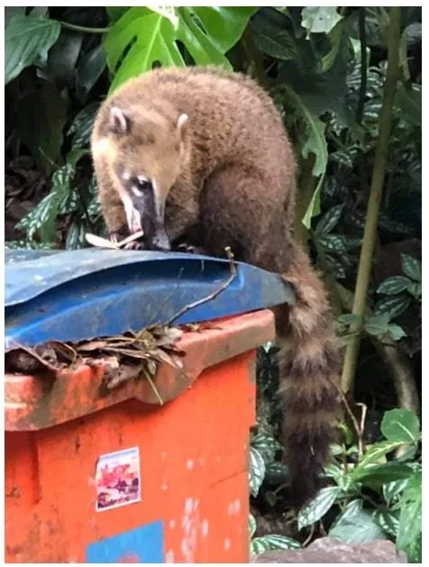 2021 Rio Camp: Day 7