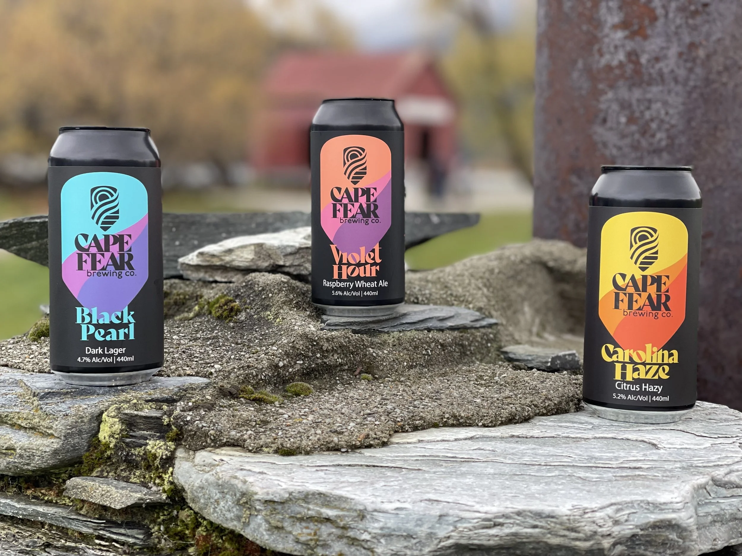 3 beer cans on a rock in arrowtown