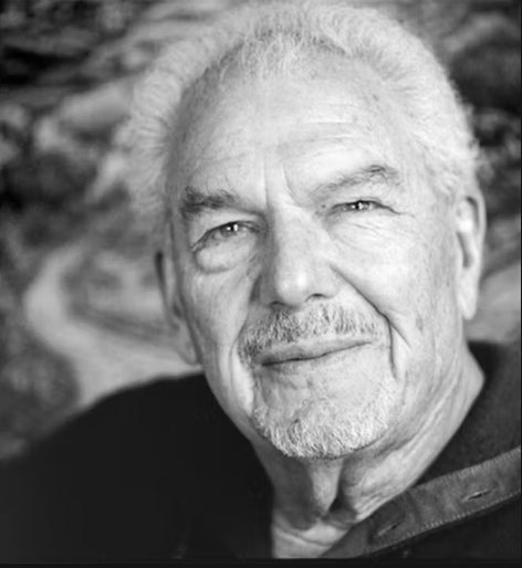 Endorsement for Healing the Modern Soul discussing psychedelic healing, trauma integration, and spiritual transformation.