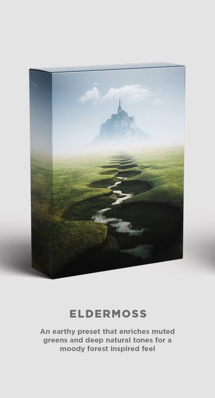 ELDERMOSS i.jpg