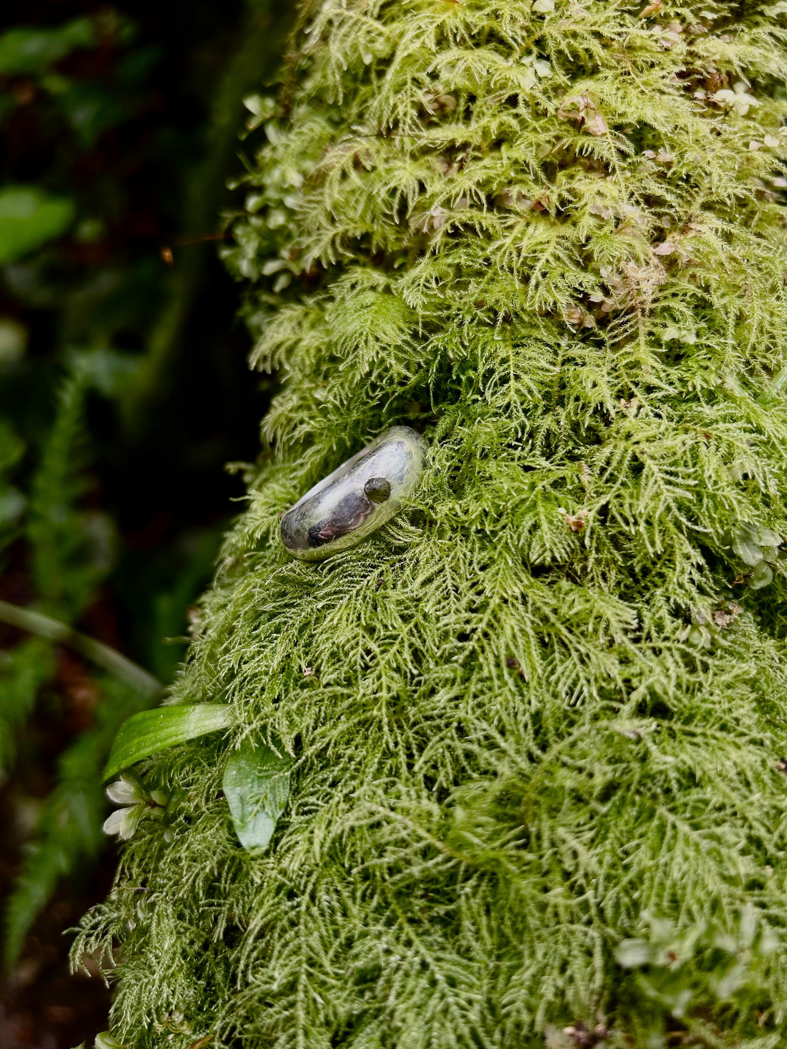 saphire cast in place on moss.jpg