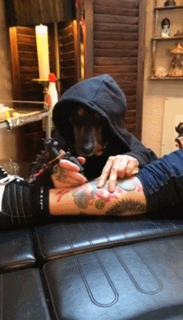 dog tattooer.gif