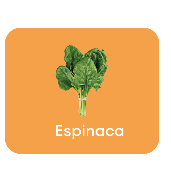 espinaca.png
