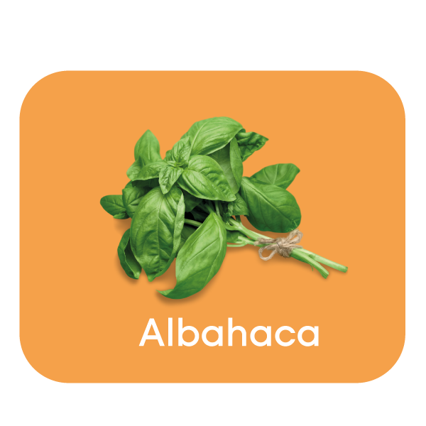 albahaca.png