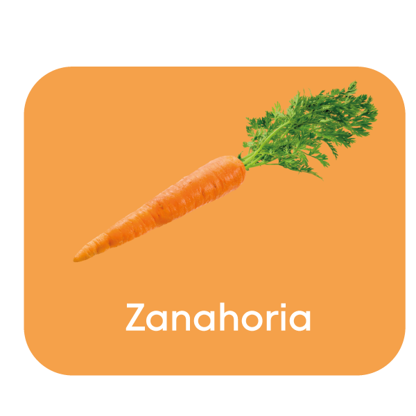 zanahoria.png