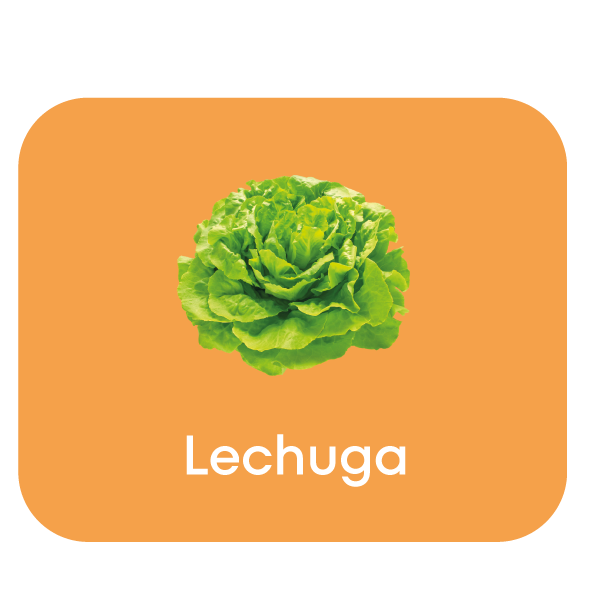 lechuga.png