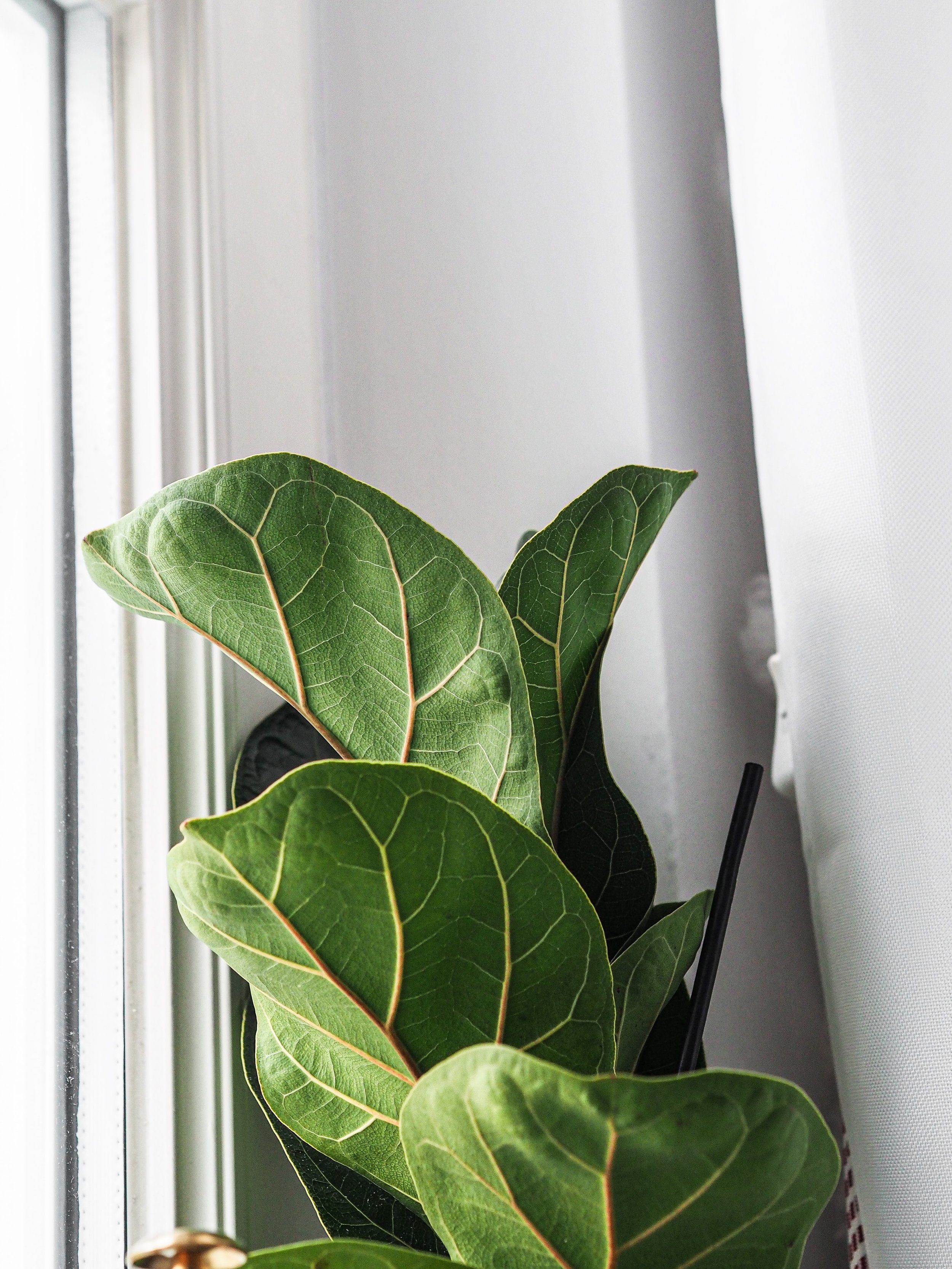 Blog Post Title Three