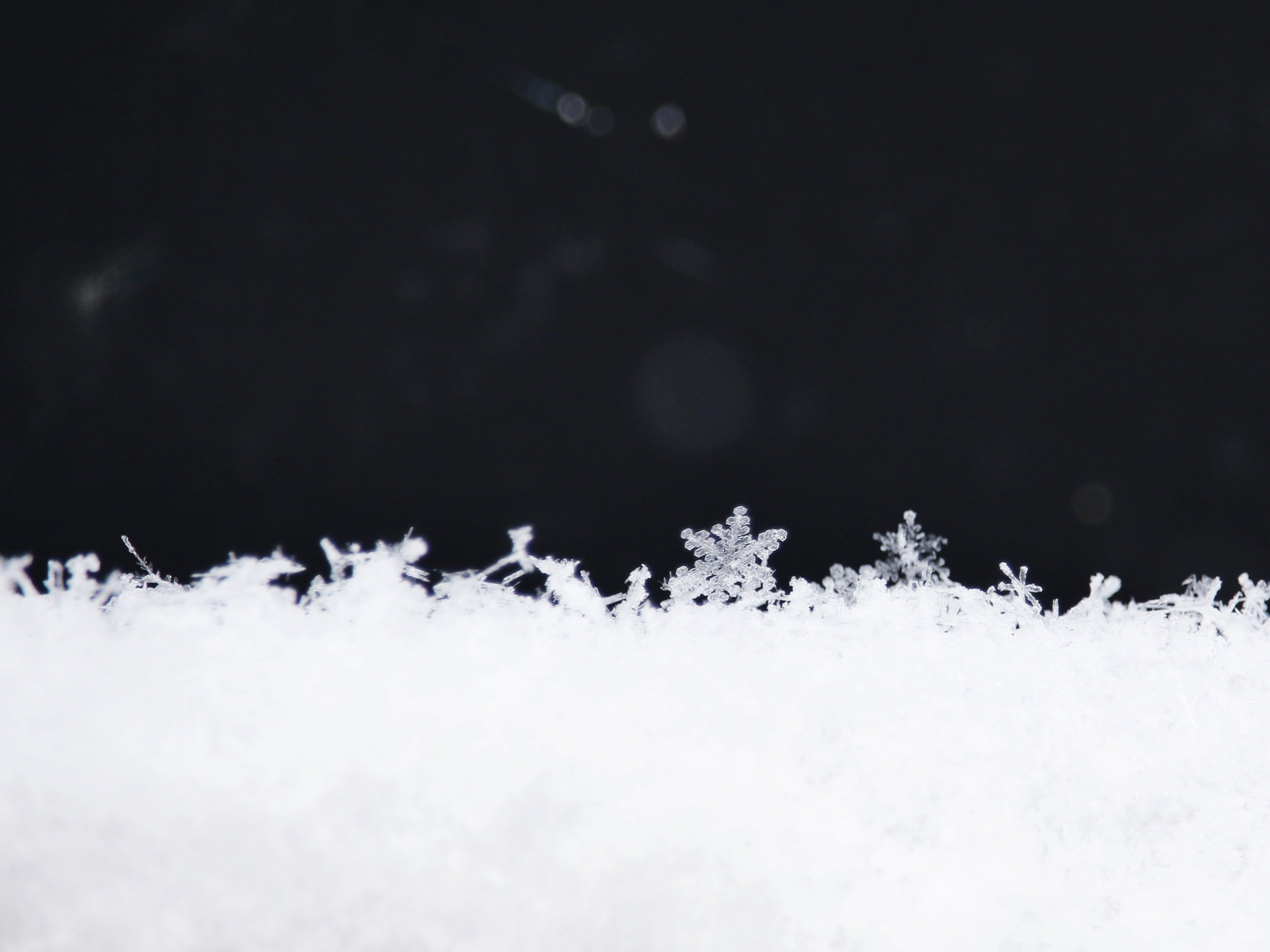 Avalanche