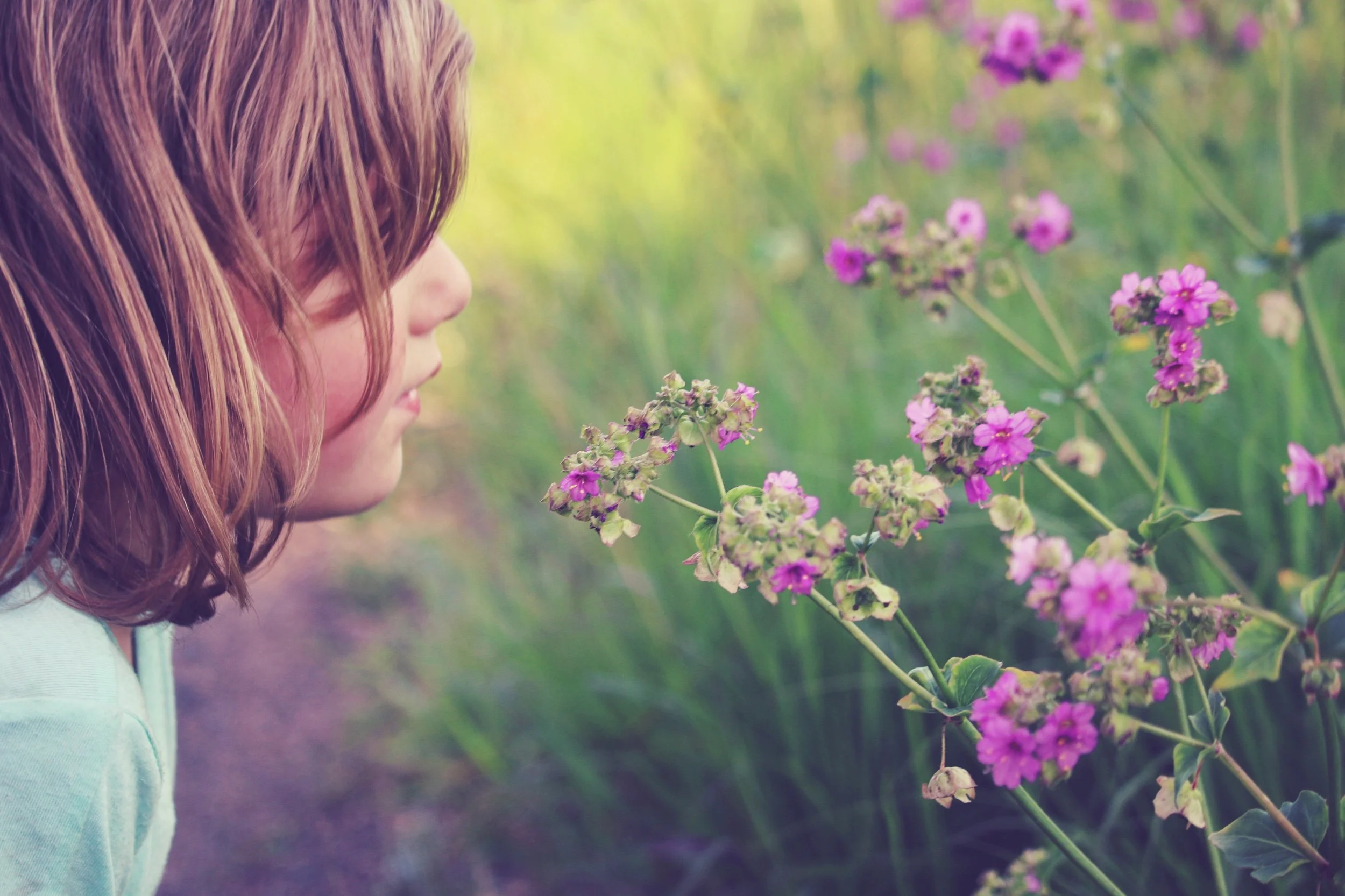 Poems from a Teenager 