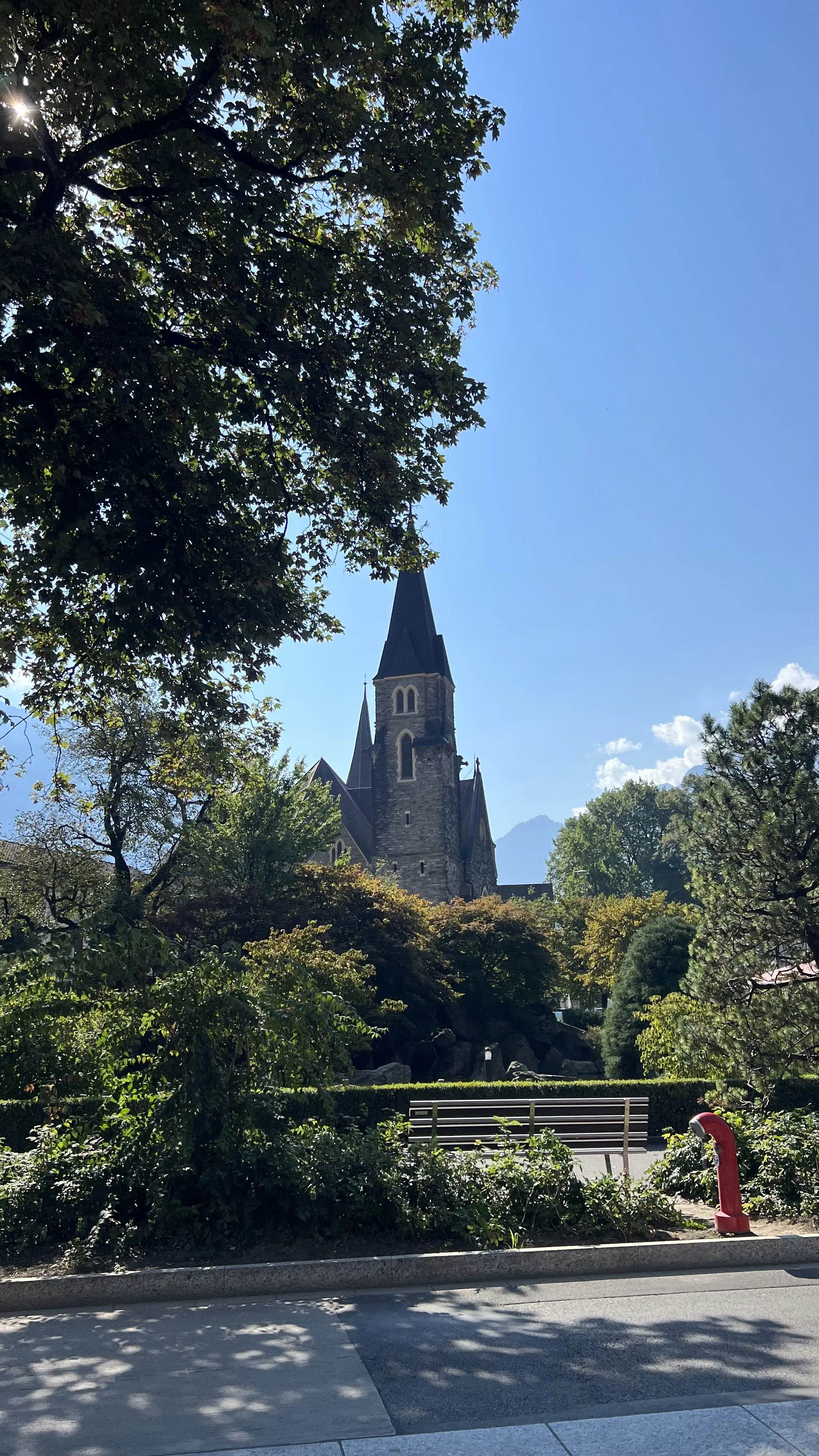 IMG_9065.jpeg