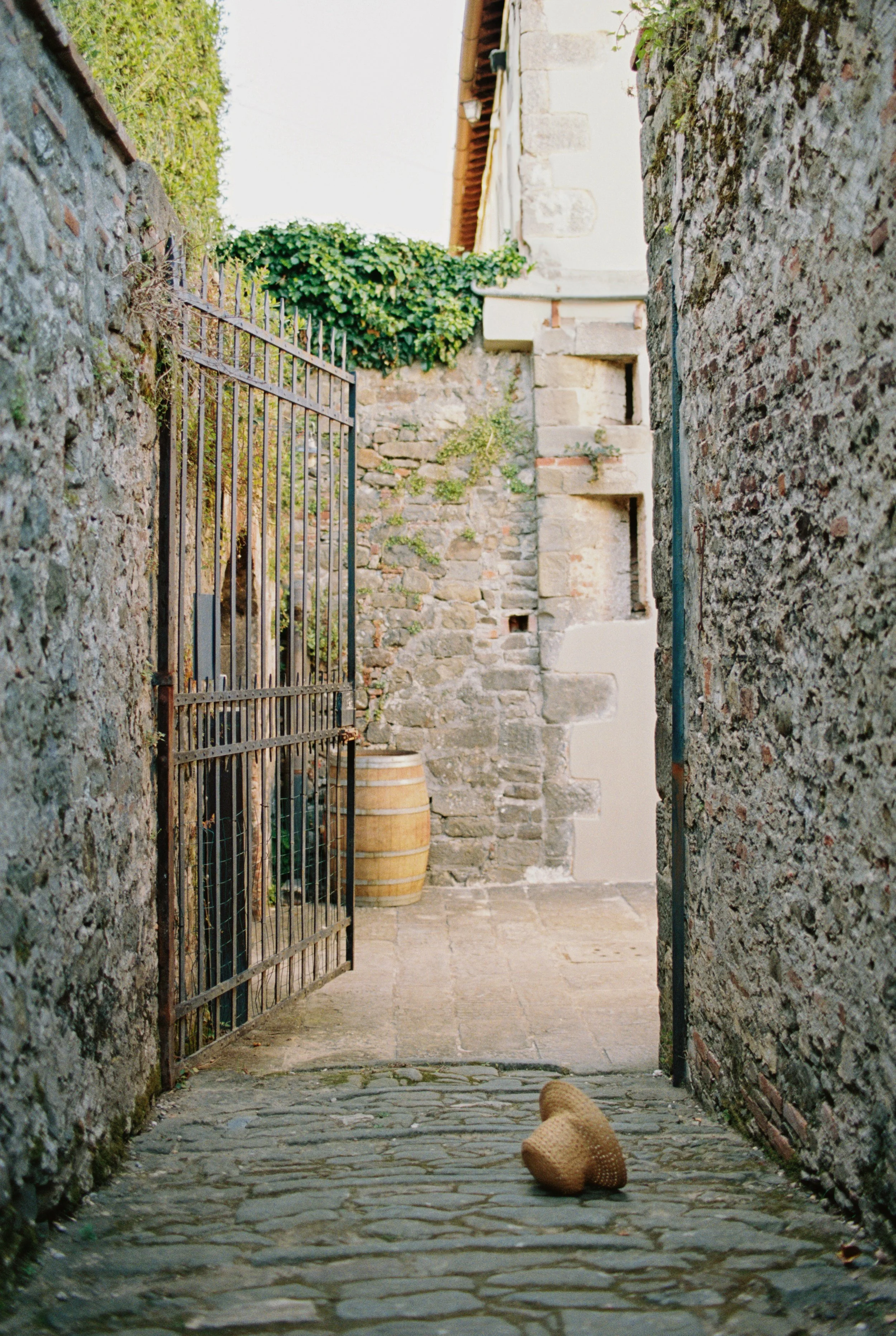 27655_08.jpg