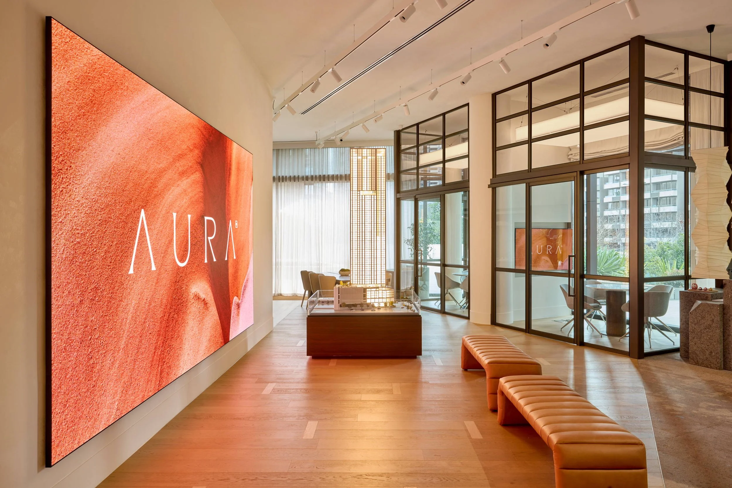 Aura_041A0522.jpg