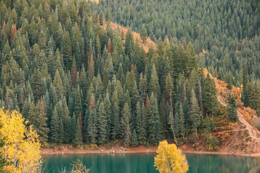 Tibble Fork Reservoir | American Fork Canyon - Utah's Adventure Family