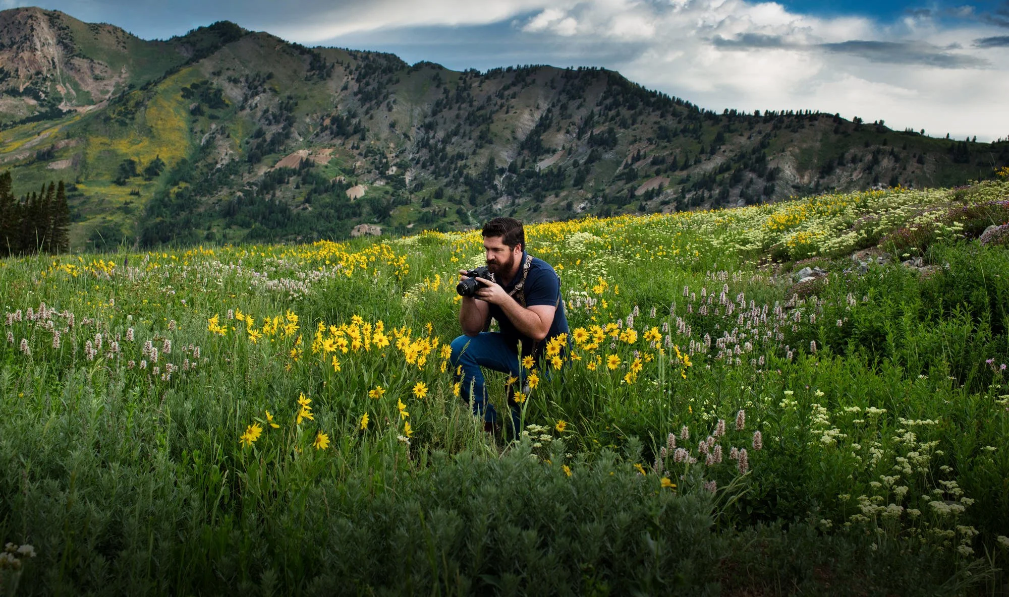 Albion-Basin-Wildflowers.jpg