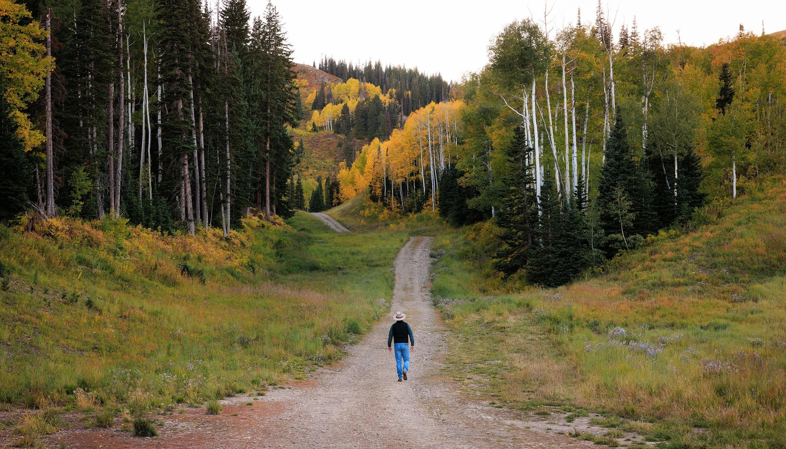 Photography Of Hiking And Walking Trails photography-of-hiking-and-walking-trails