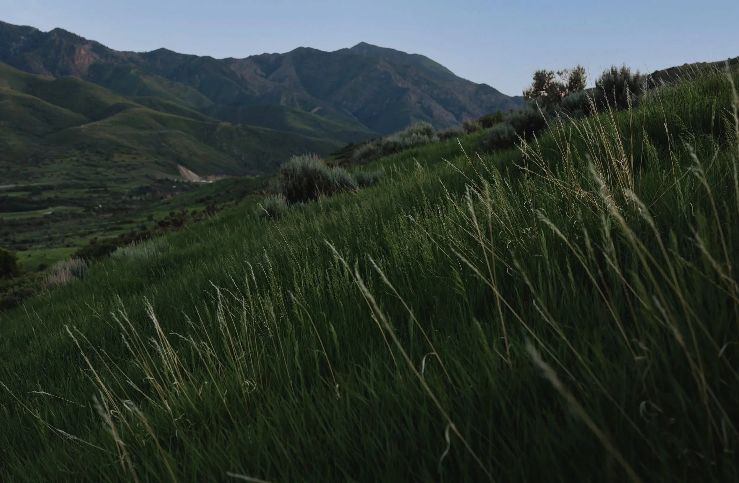 756_Utah-Mountain-Photography.jpg