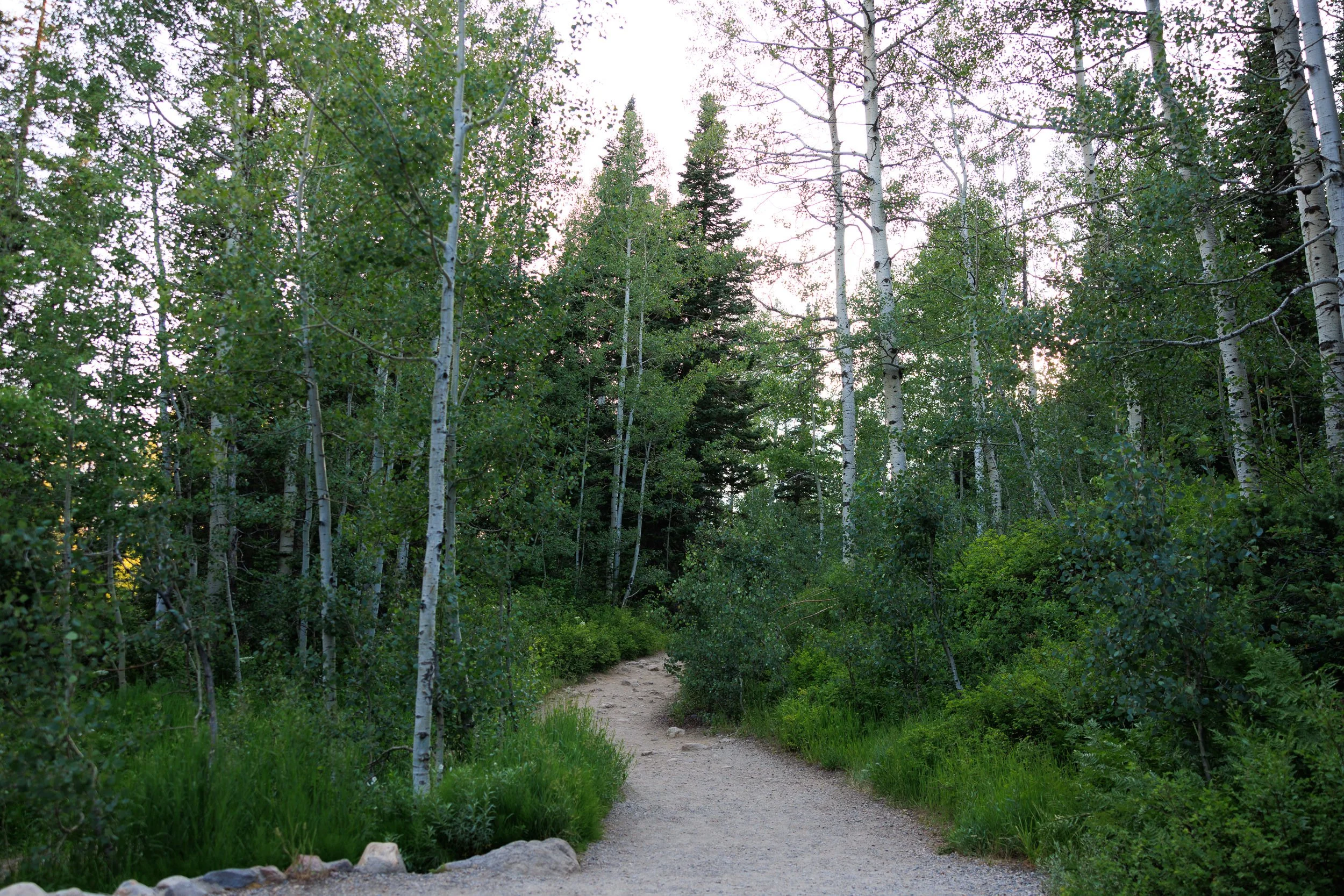 558_Gloria-Falls-Little-Cottonwood-Canyon-Utah.jpg