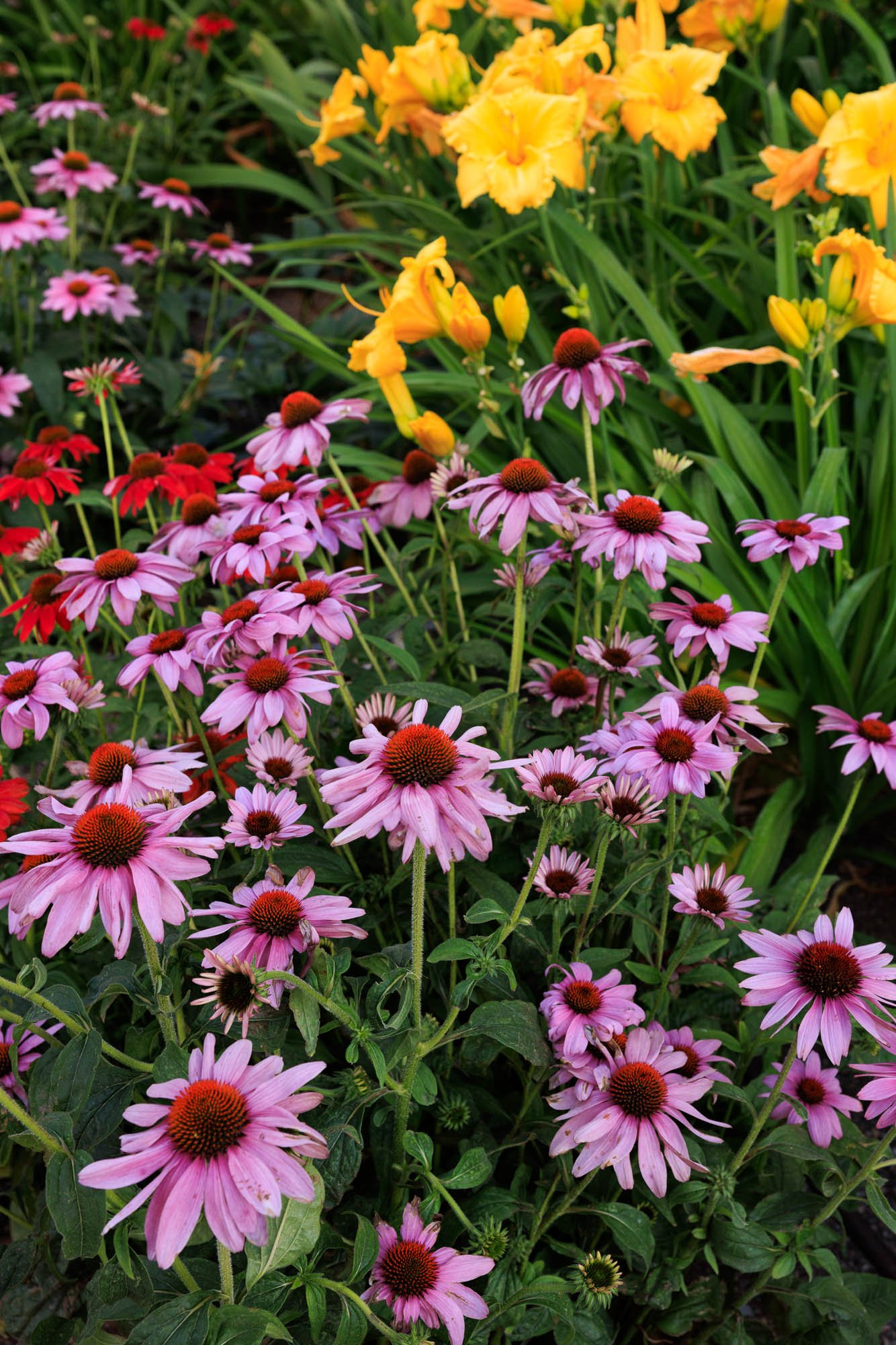 Flowers at Temple Square Salt Lake City