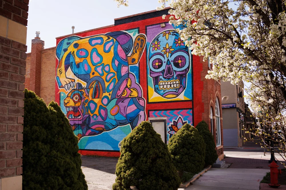 Wall Murals