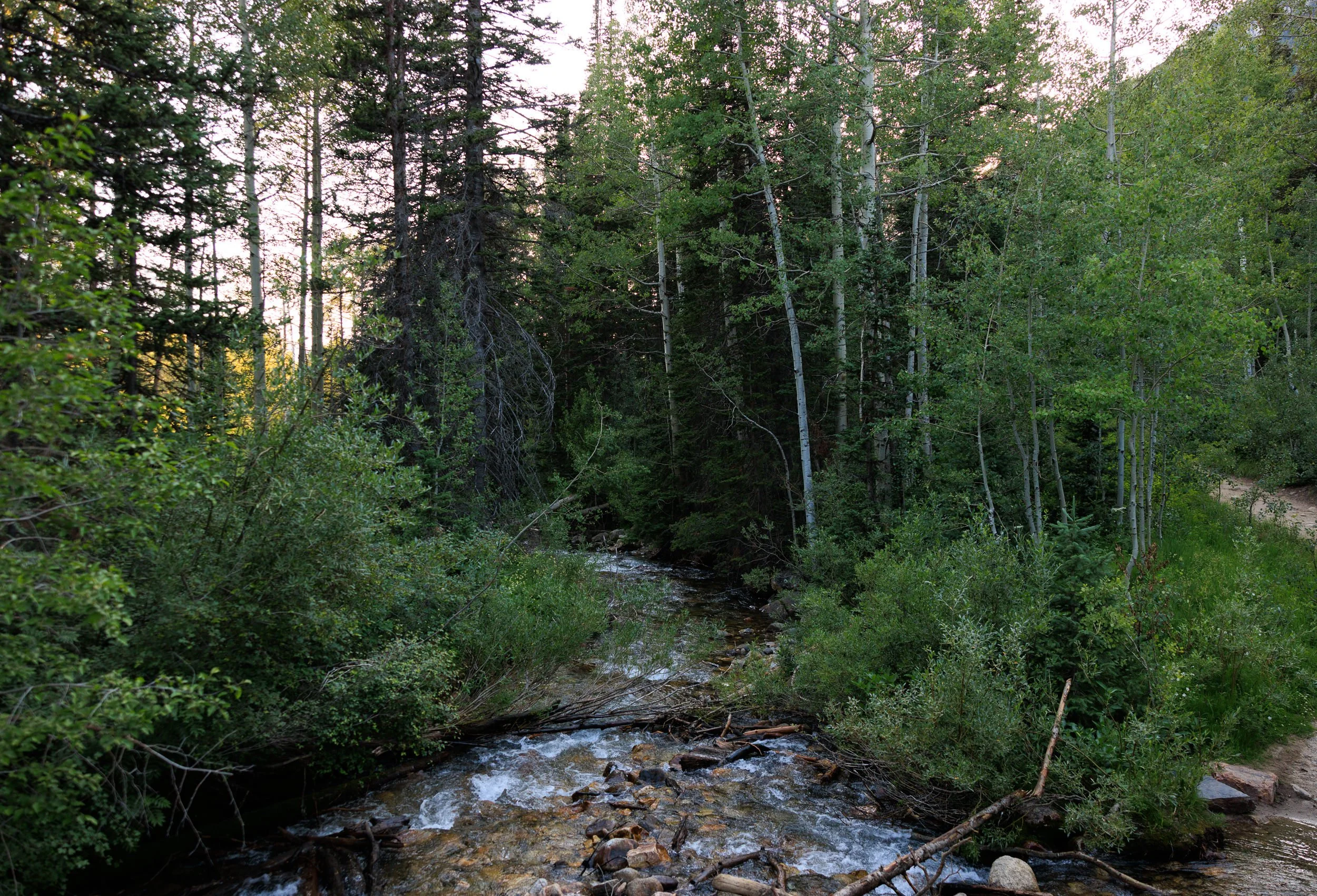 560_Gloria-Falls-Little-Cottonwood-Canyon-Utah.jpg