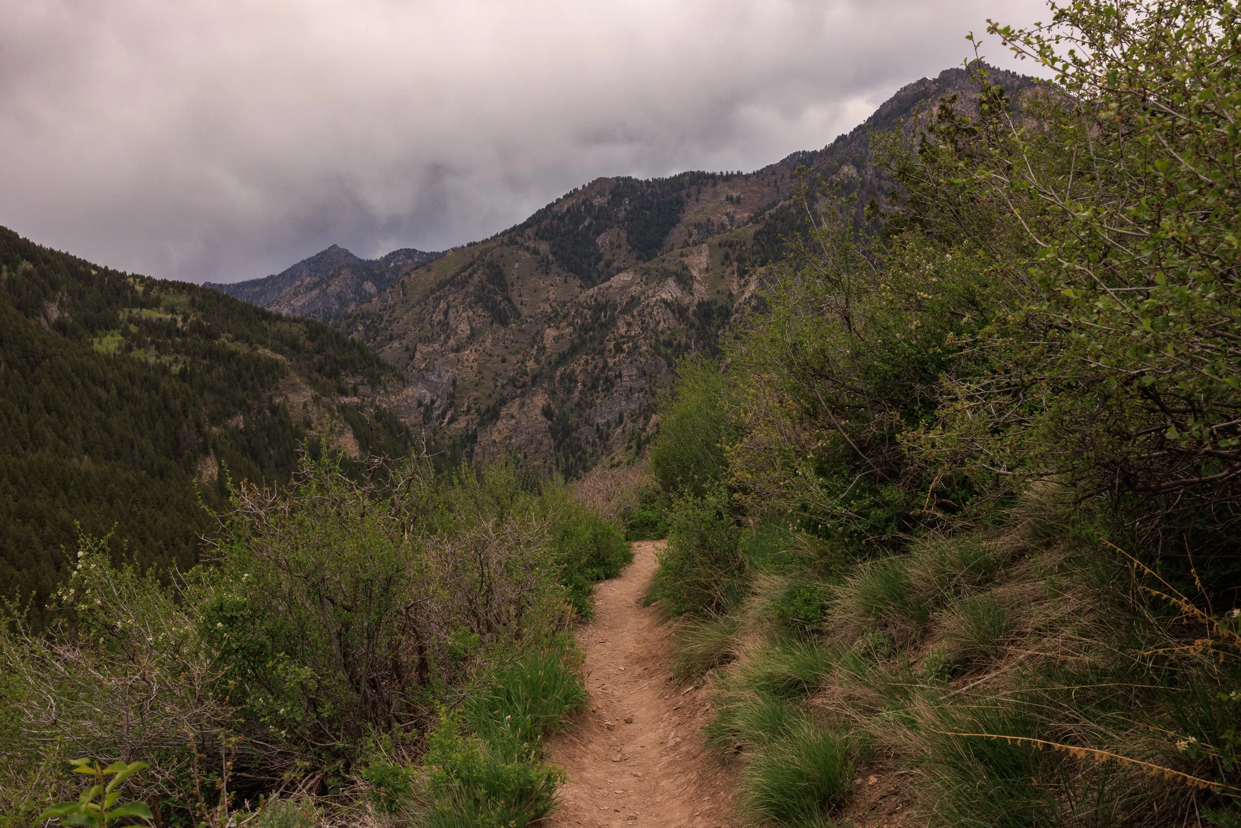 794_Pine-Hollow-Trailhead-Utah.jpg