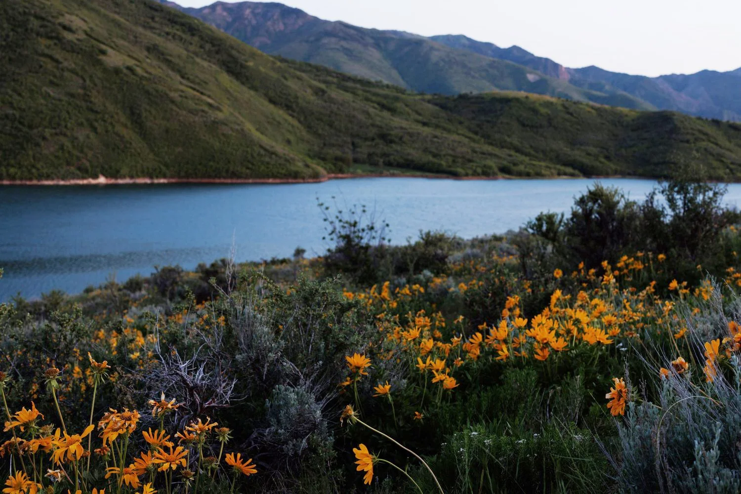 753_Utah-Mountain-Photography.jpg
