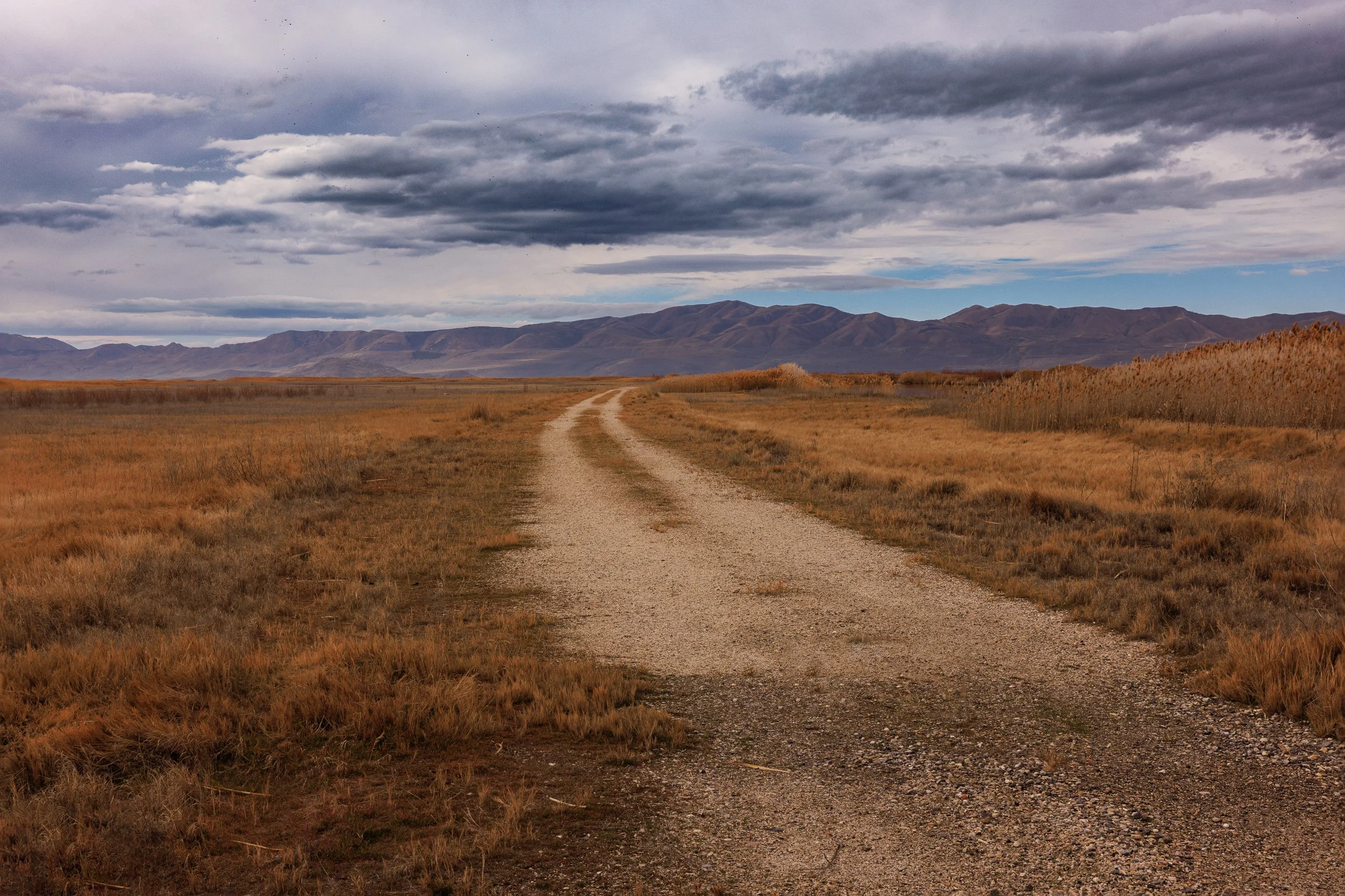 Bear River Bird Refuge