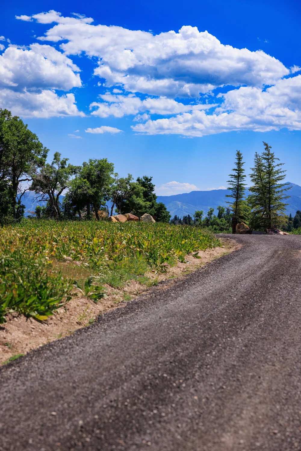 Tollgate Trail