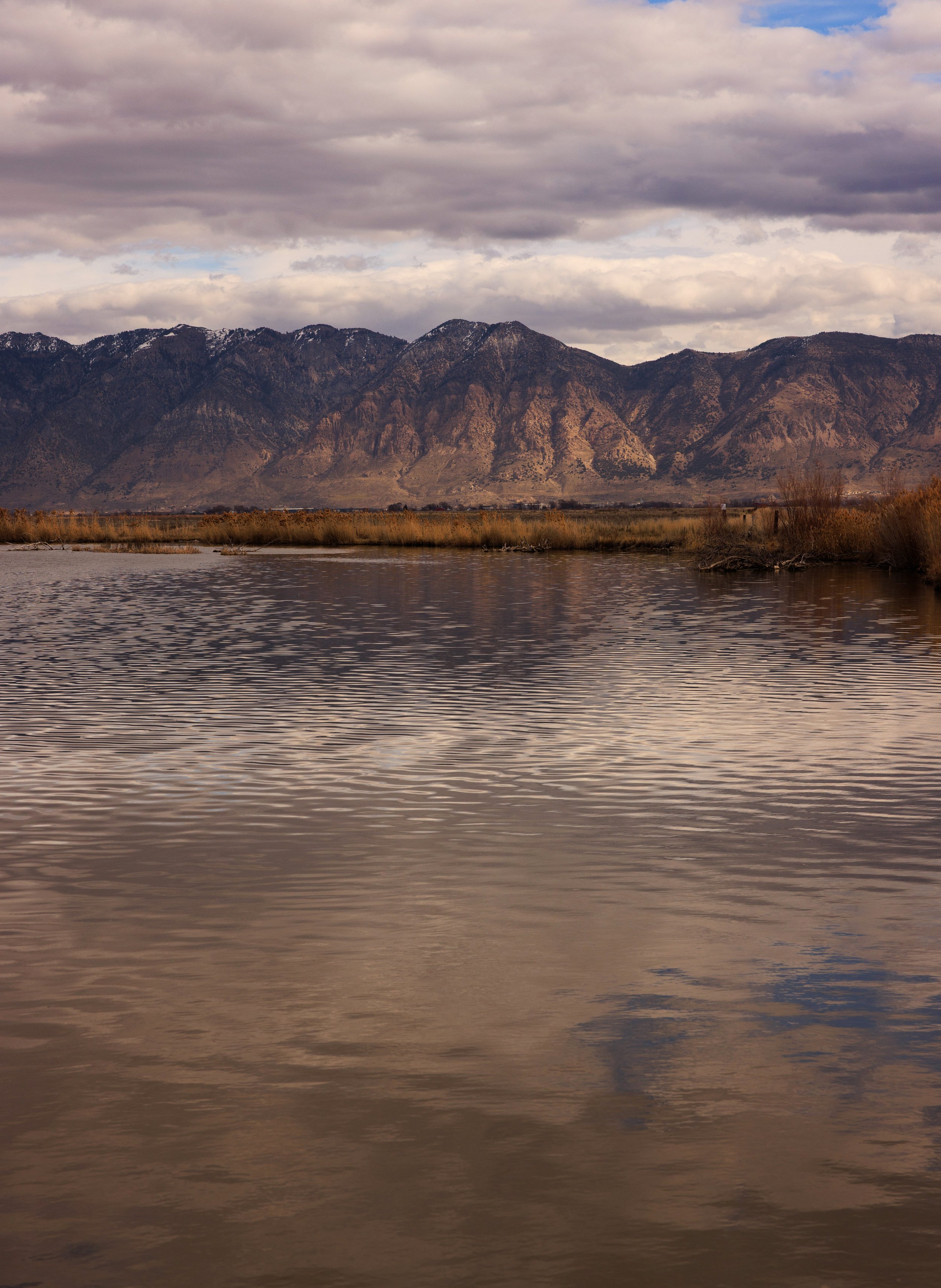 Bear River Bird Refuge Utah