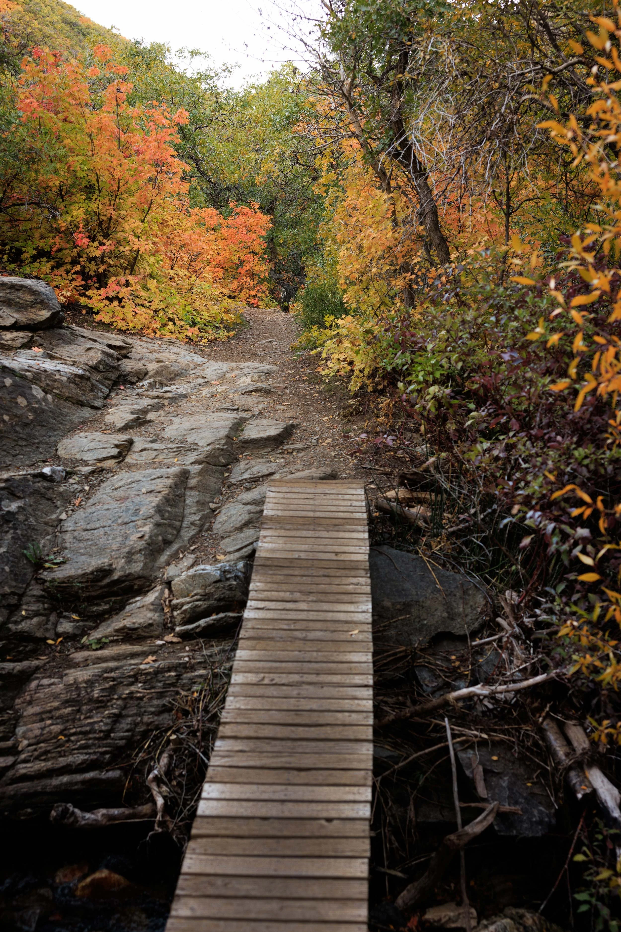 Photography Of Hiking And Walking Trails photography-of-hiking-and-walking-trails