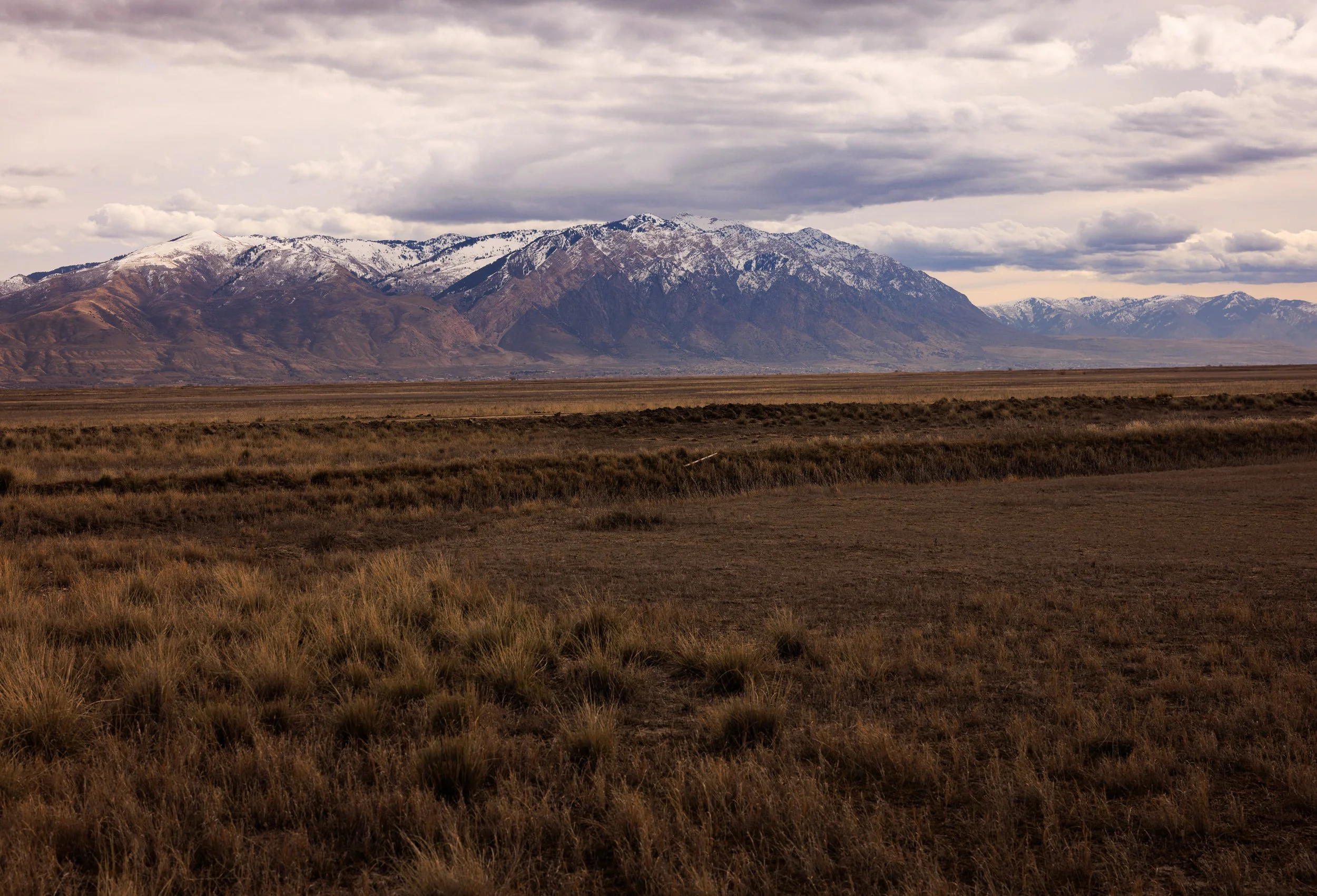 Bear River Bird Refuge Utah