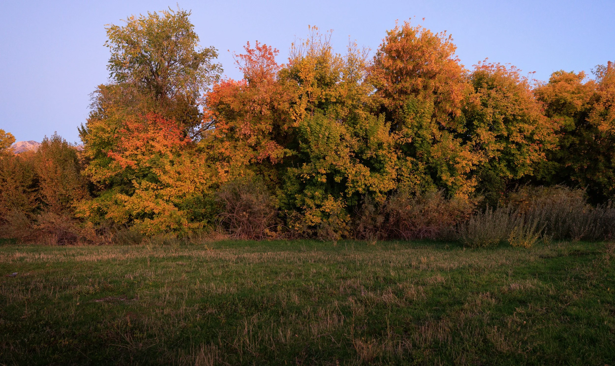 8061_Autumn-Photo-Location-Utah.jpg