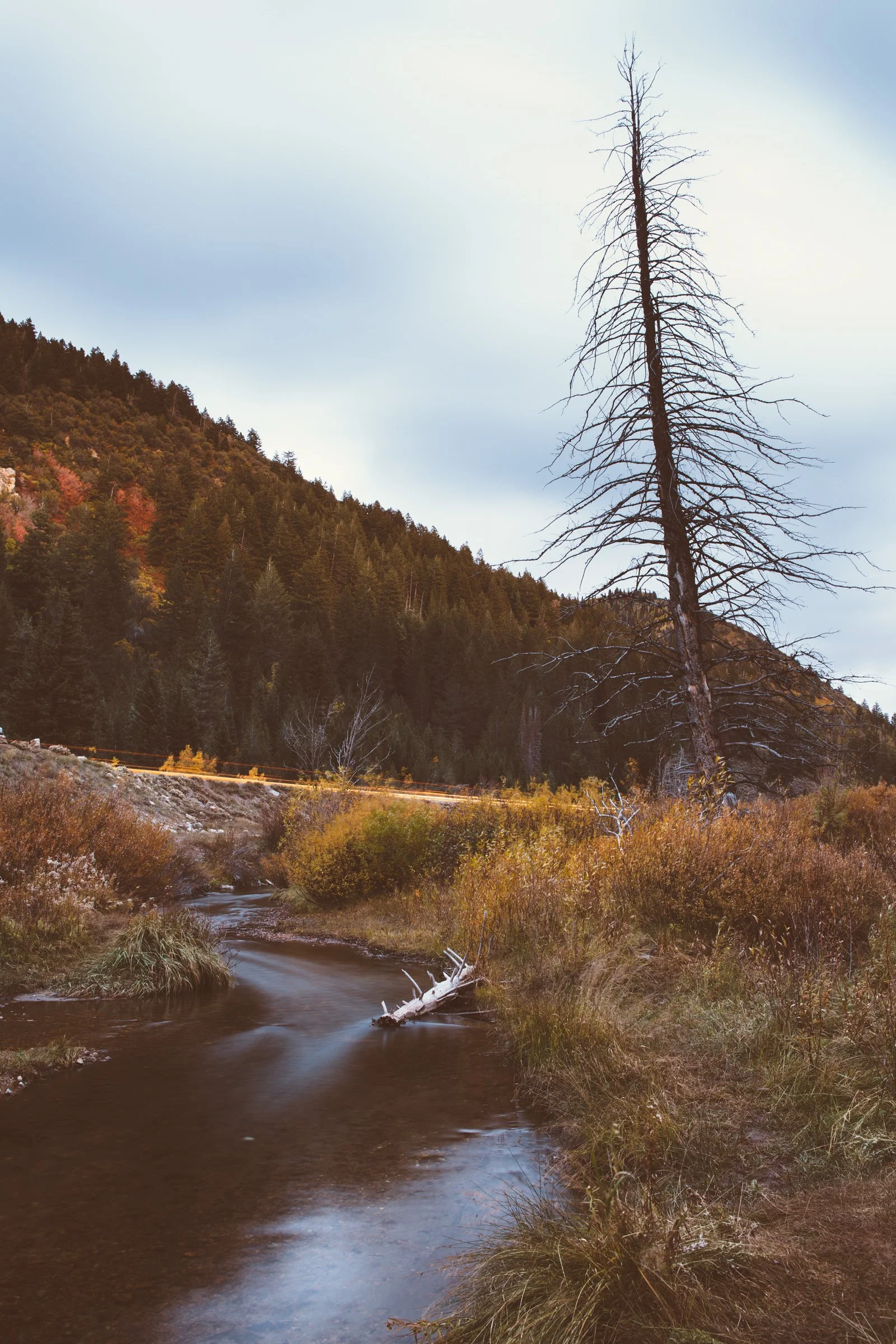 695_Jordan-Pines-Campground.jpg