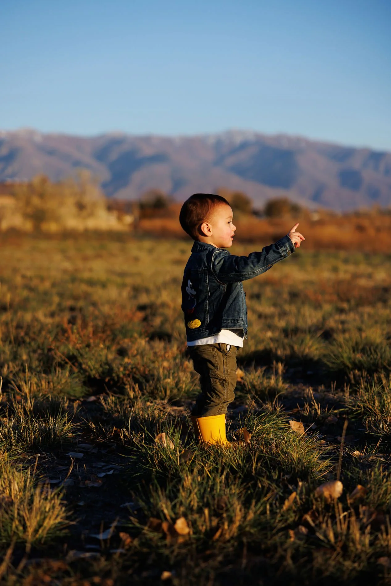 Photography at Jensen Nature Park