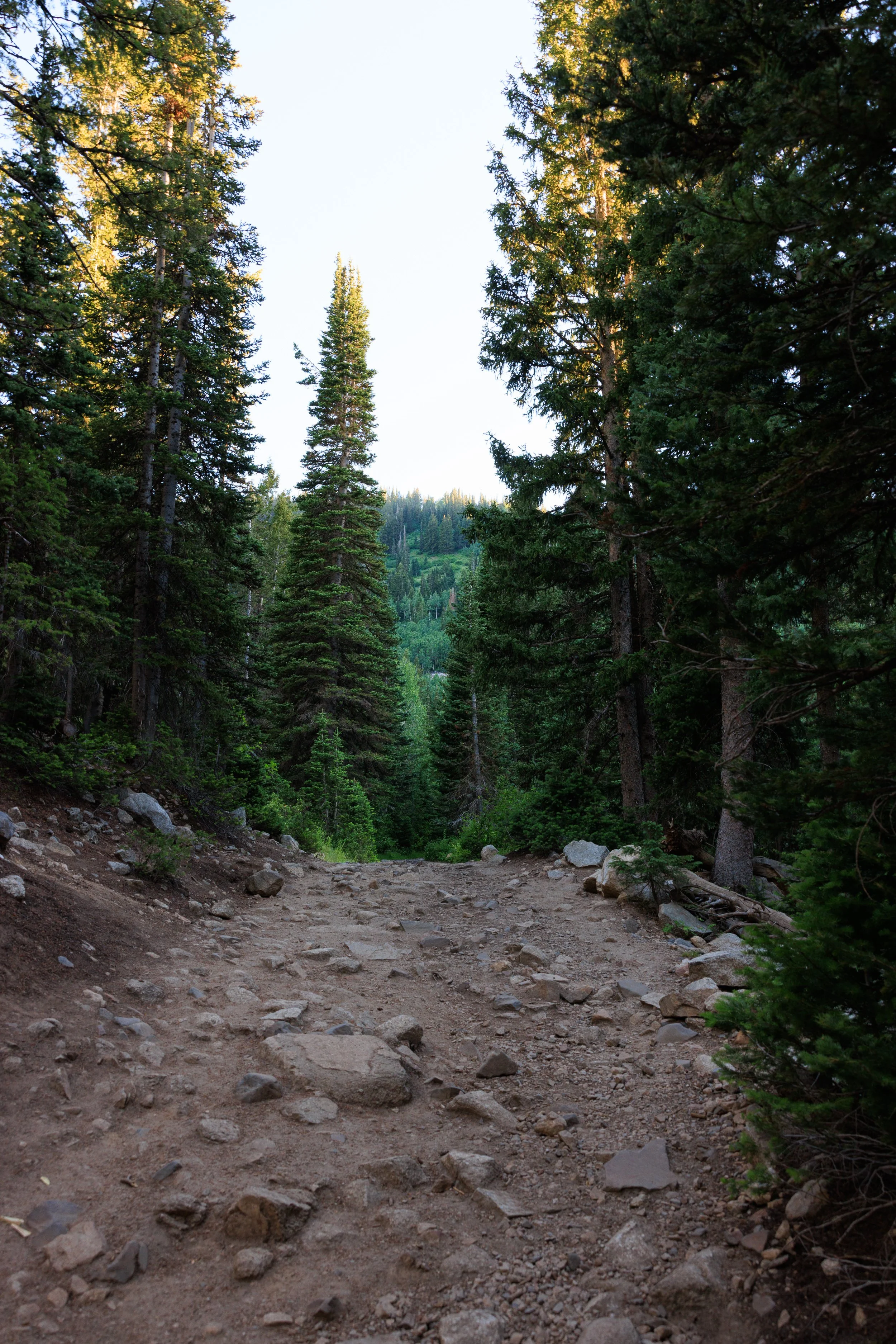 559_Gloria-Falls-Little-Cottonwood-Canyon-Utah.jpg