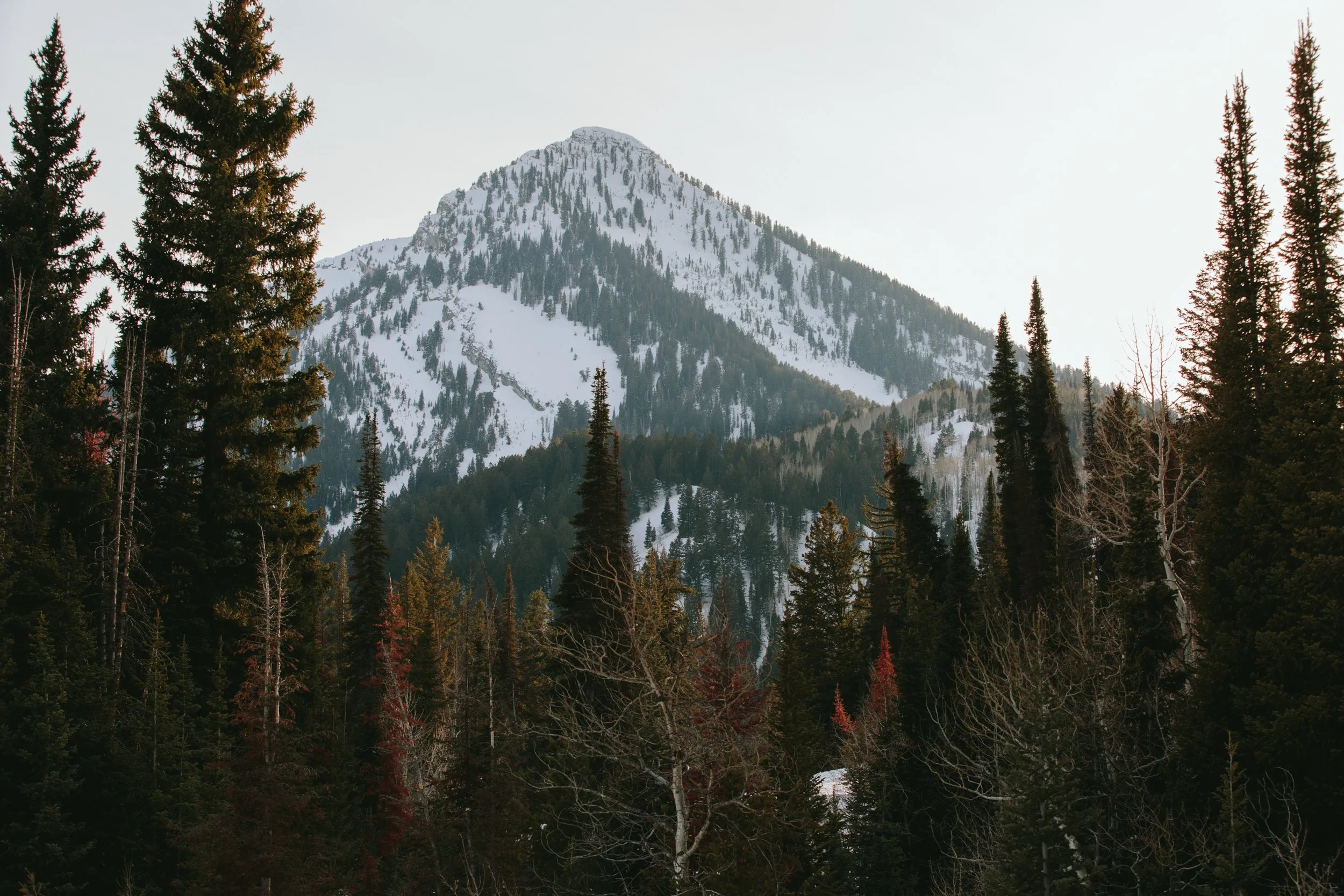donut falls salt lake city
