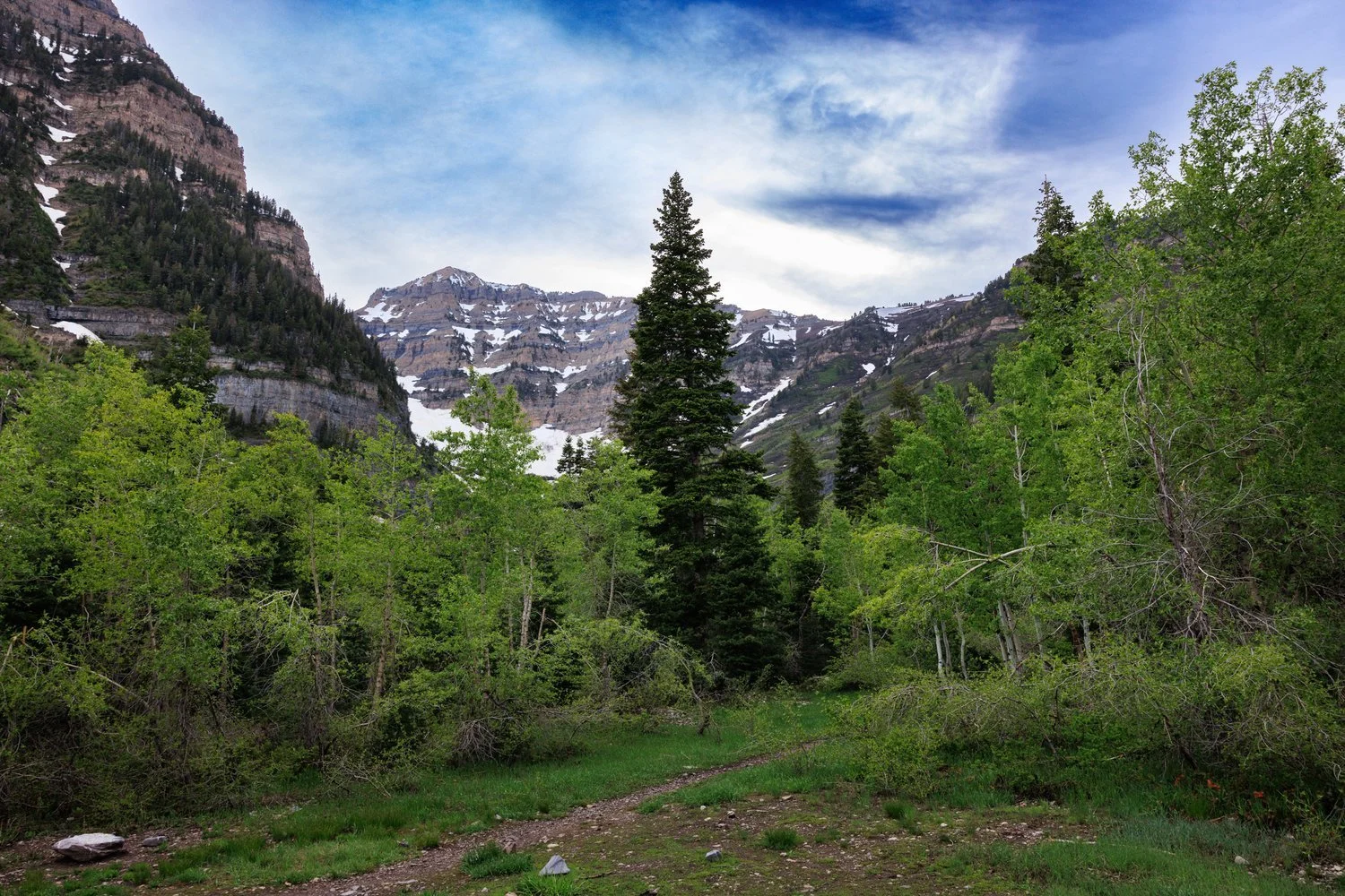 109_Aspen-Grove.jpg