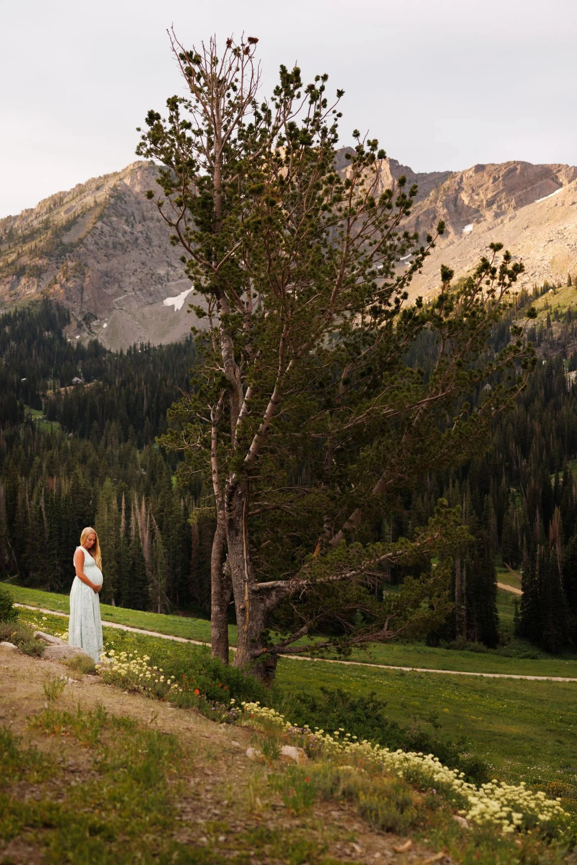 Maternity Pregnancy Photography at Albion Basin