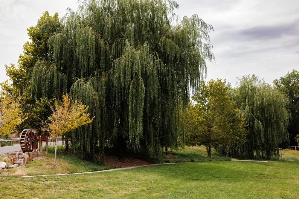 Holt Farmstead Historical Site