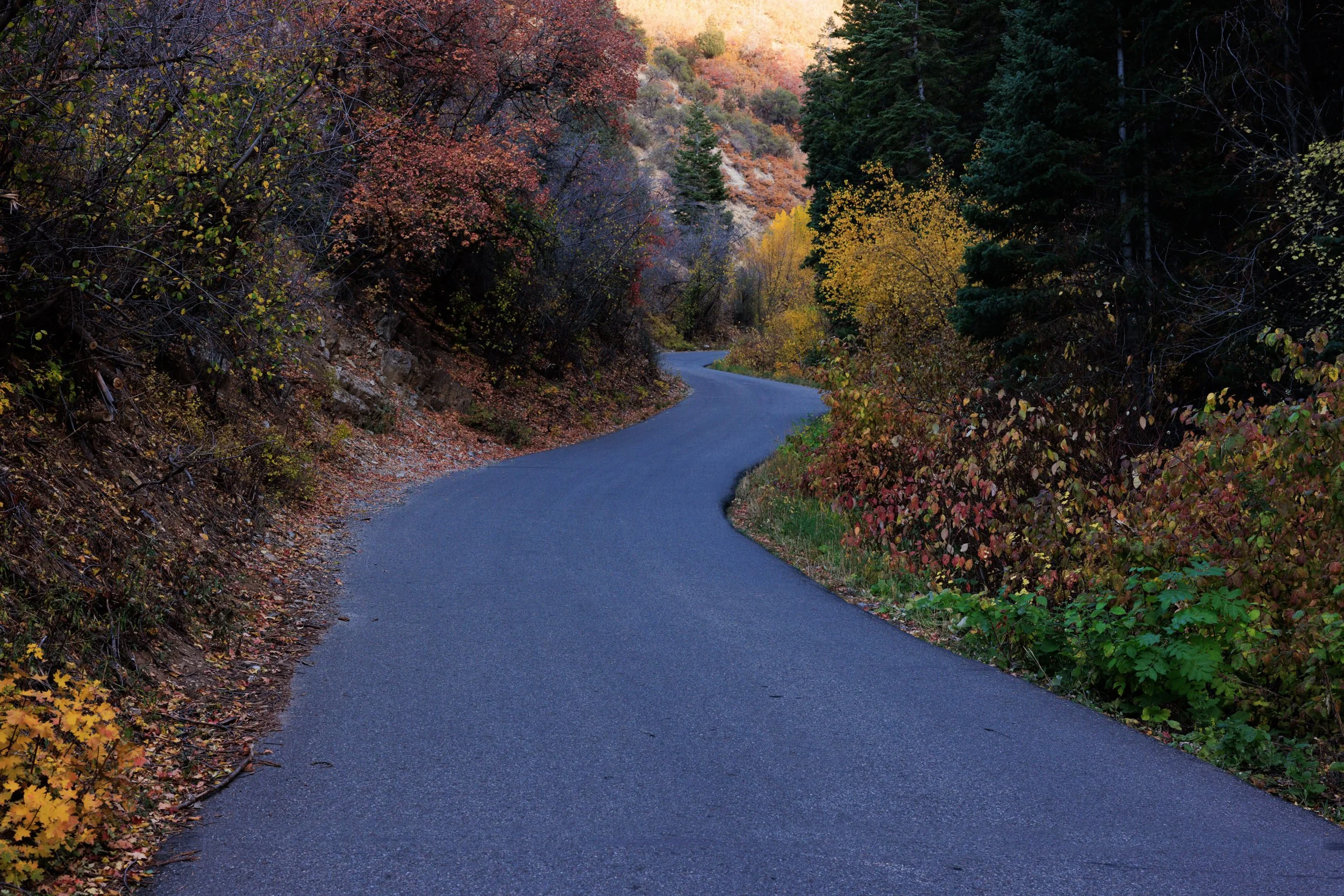 863_Brandon-Burk-Photography.jpg