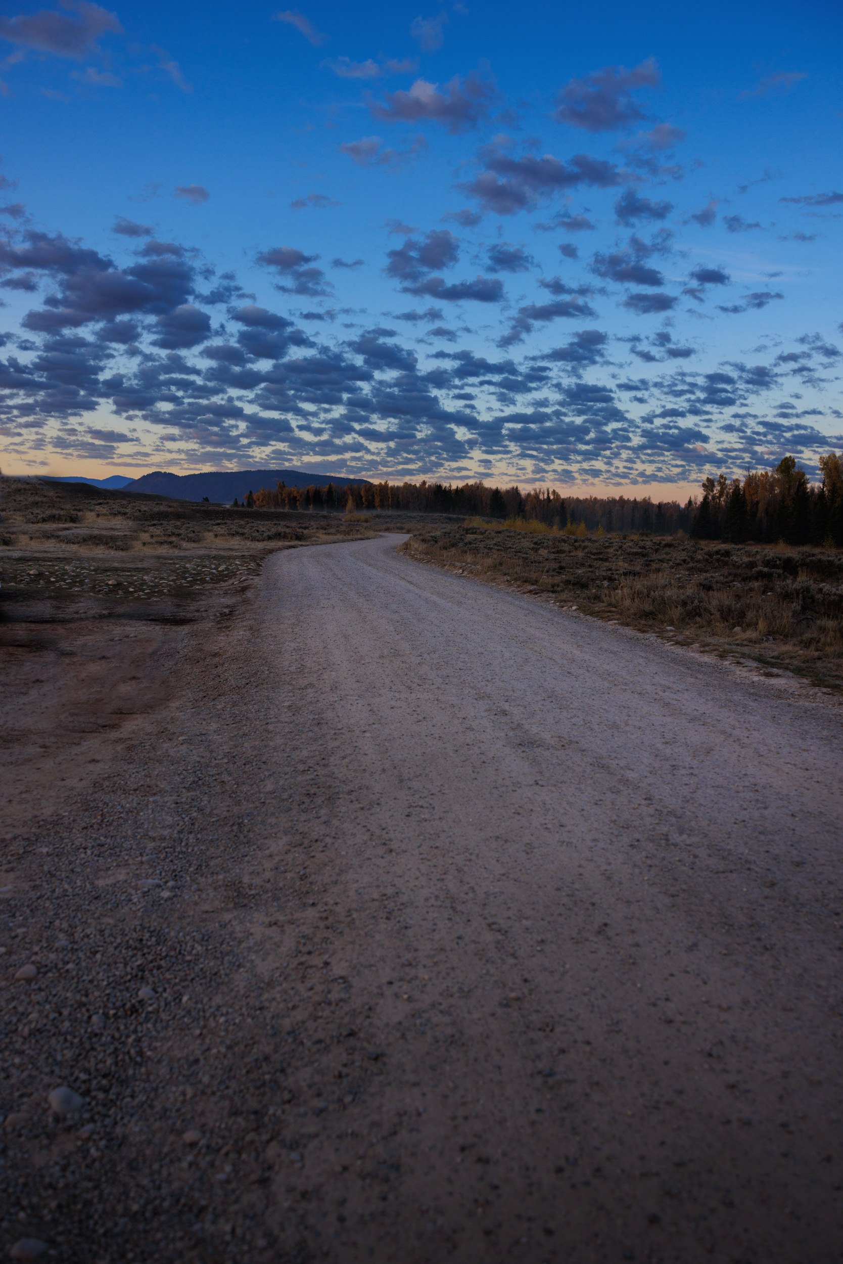866_Brandon-Burk-Photography.jpg