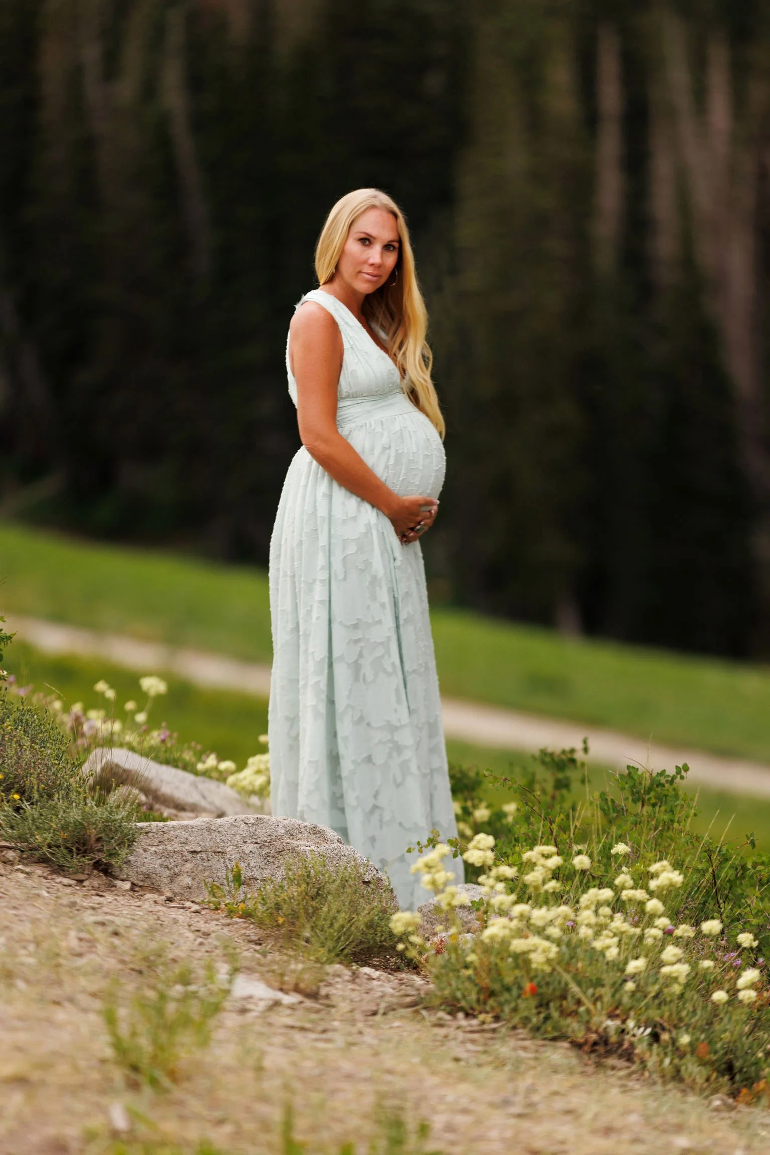 Albion Basin Utah Maternity 