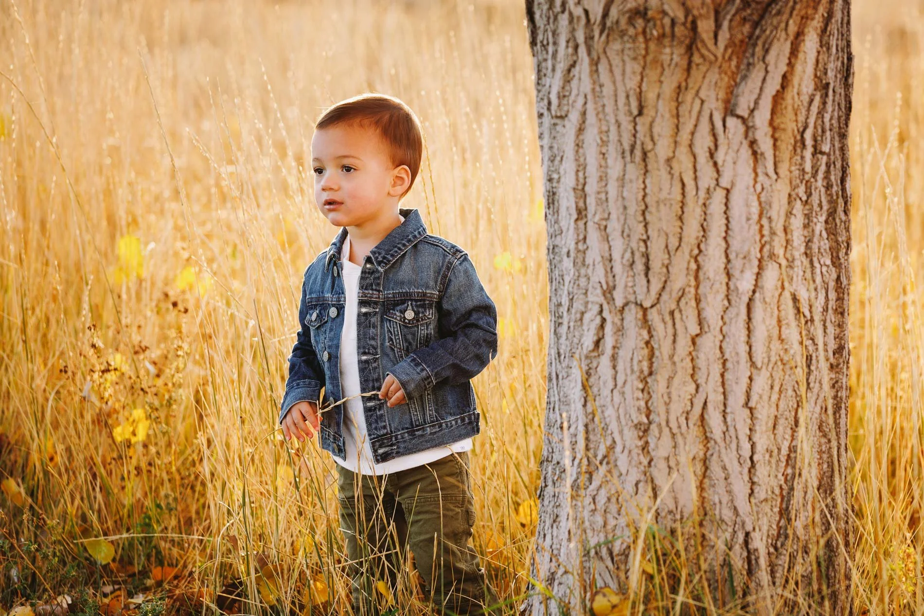 283-Jensen-Nature-Park-Syracuse-UT.jpg