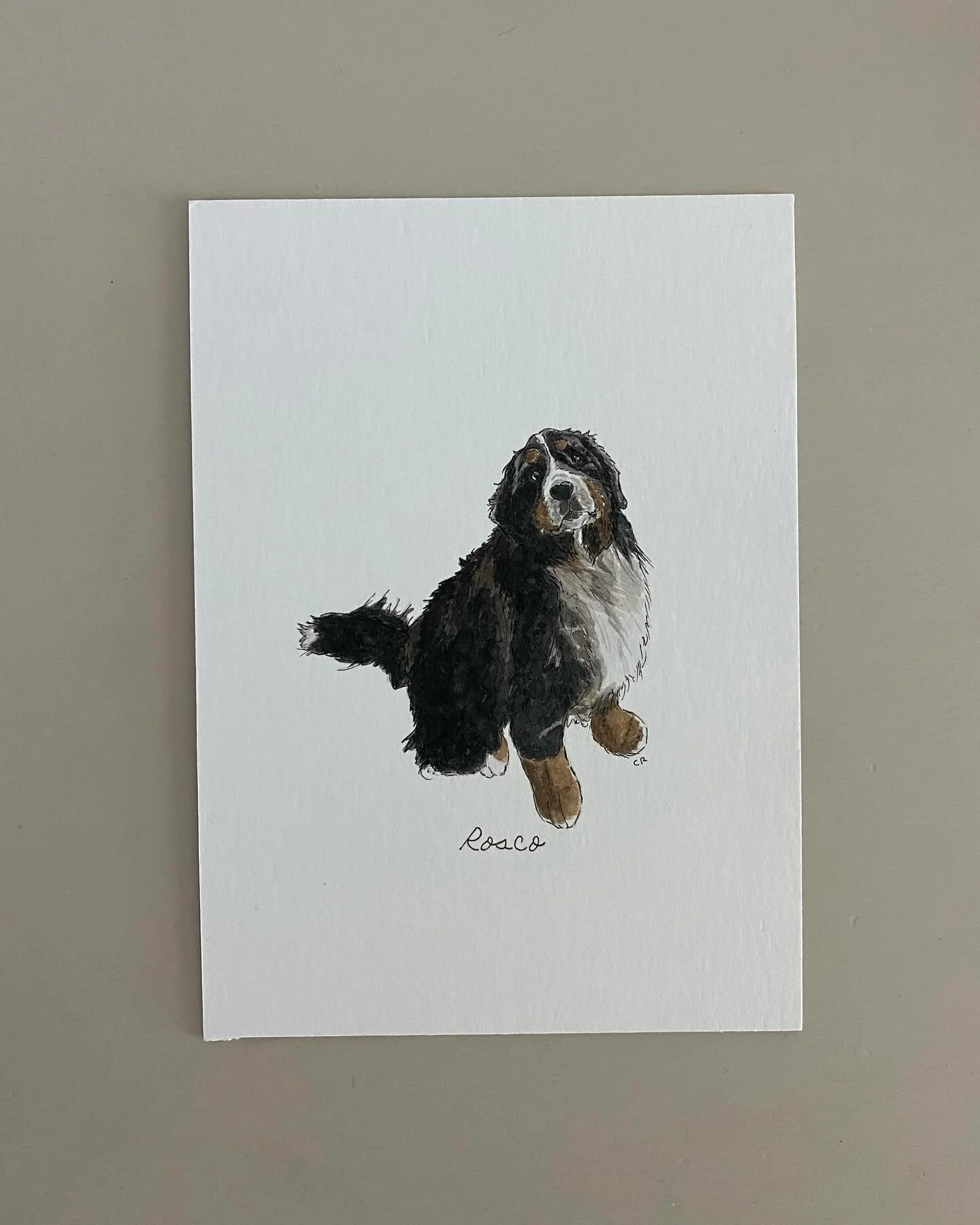 Rosco / 5x7