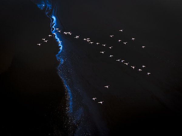 Exhibition • Elements of Wonder