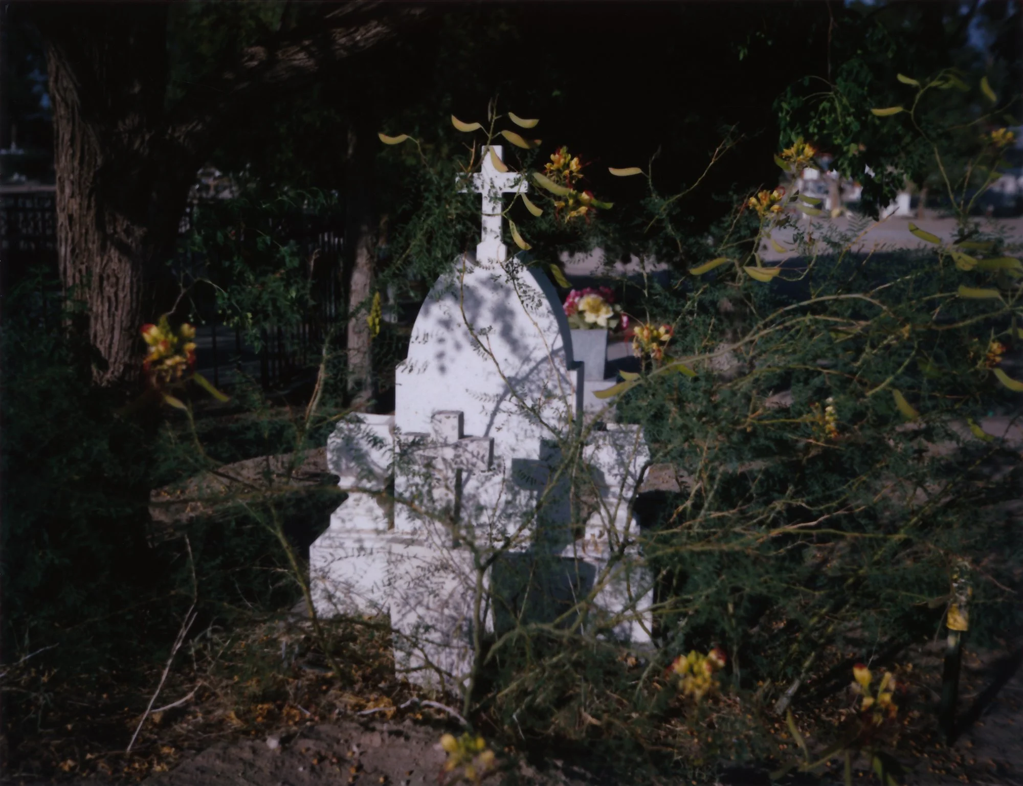 Exhibition • A New Mexican Burial