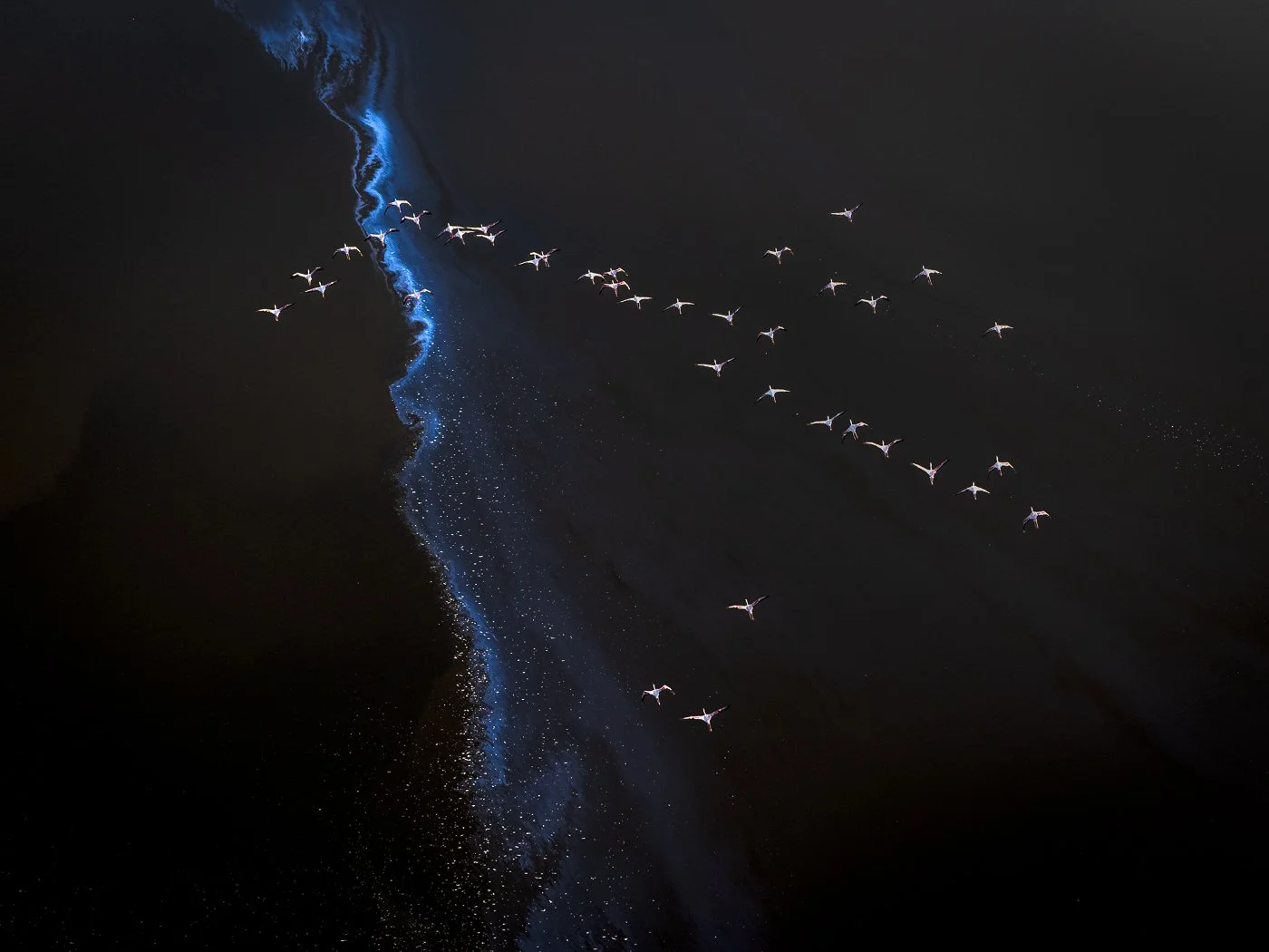 Exhibition • Elements of Wonder