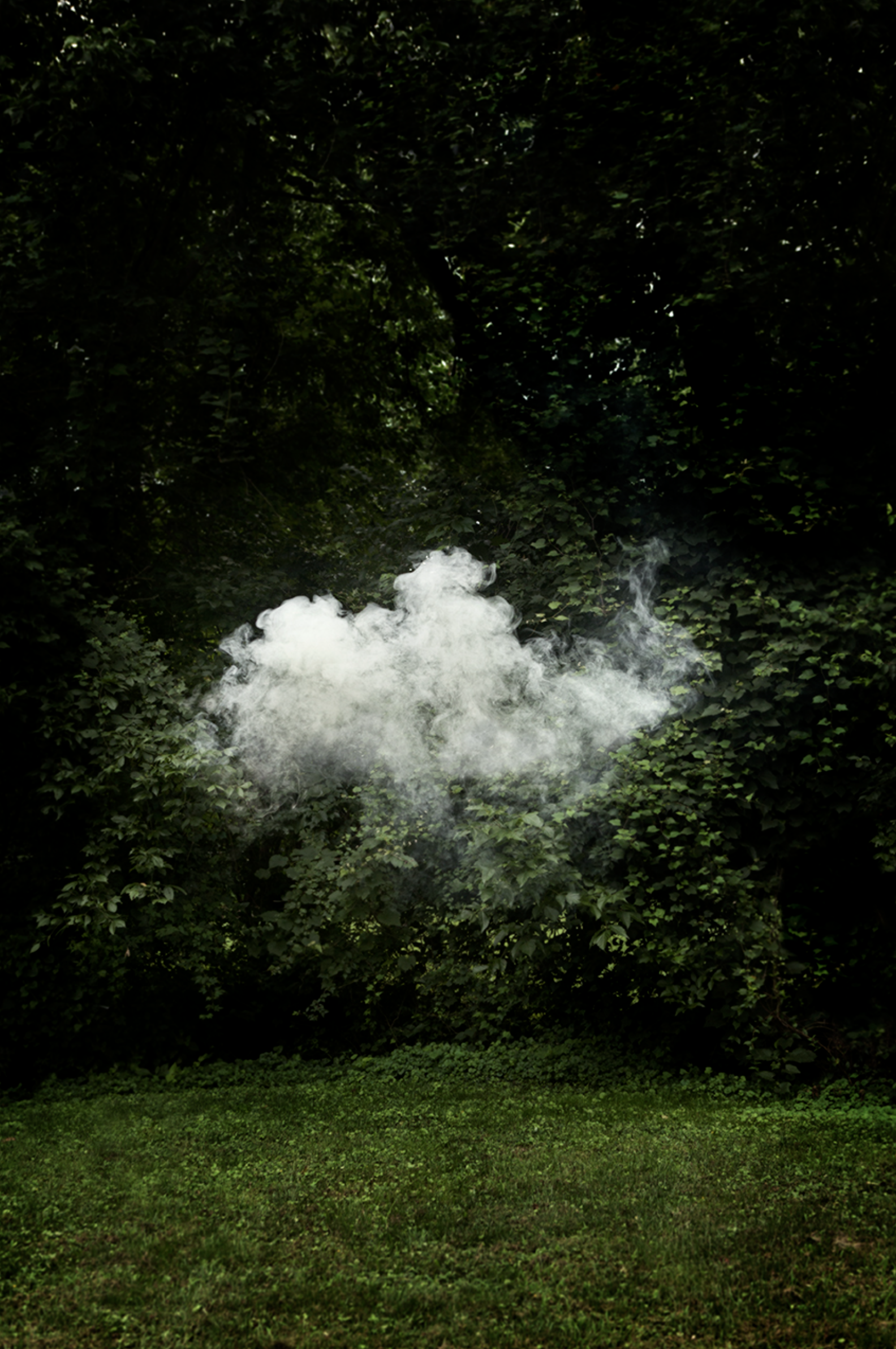 Laura Skinner Cloud Formation.png